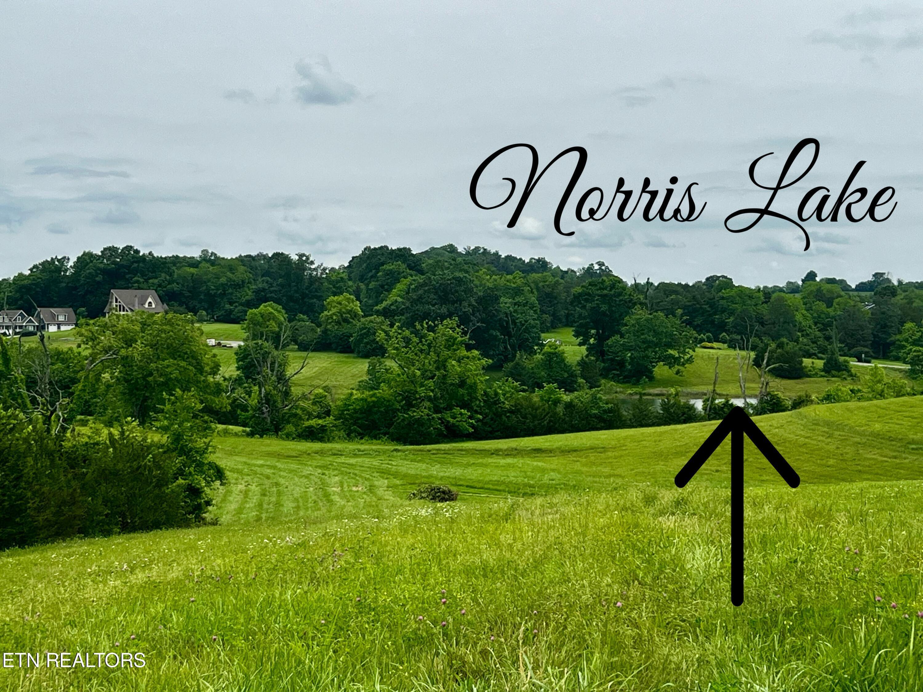 Norris Lake Real Estate - Image# 6