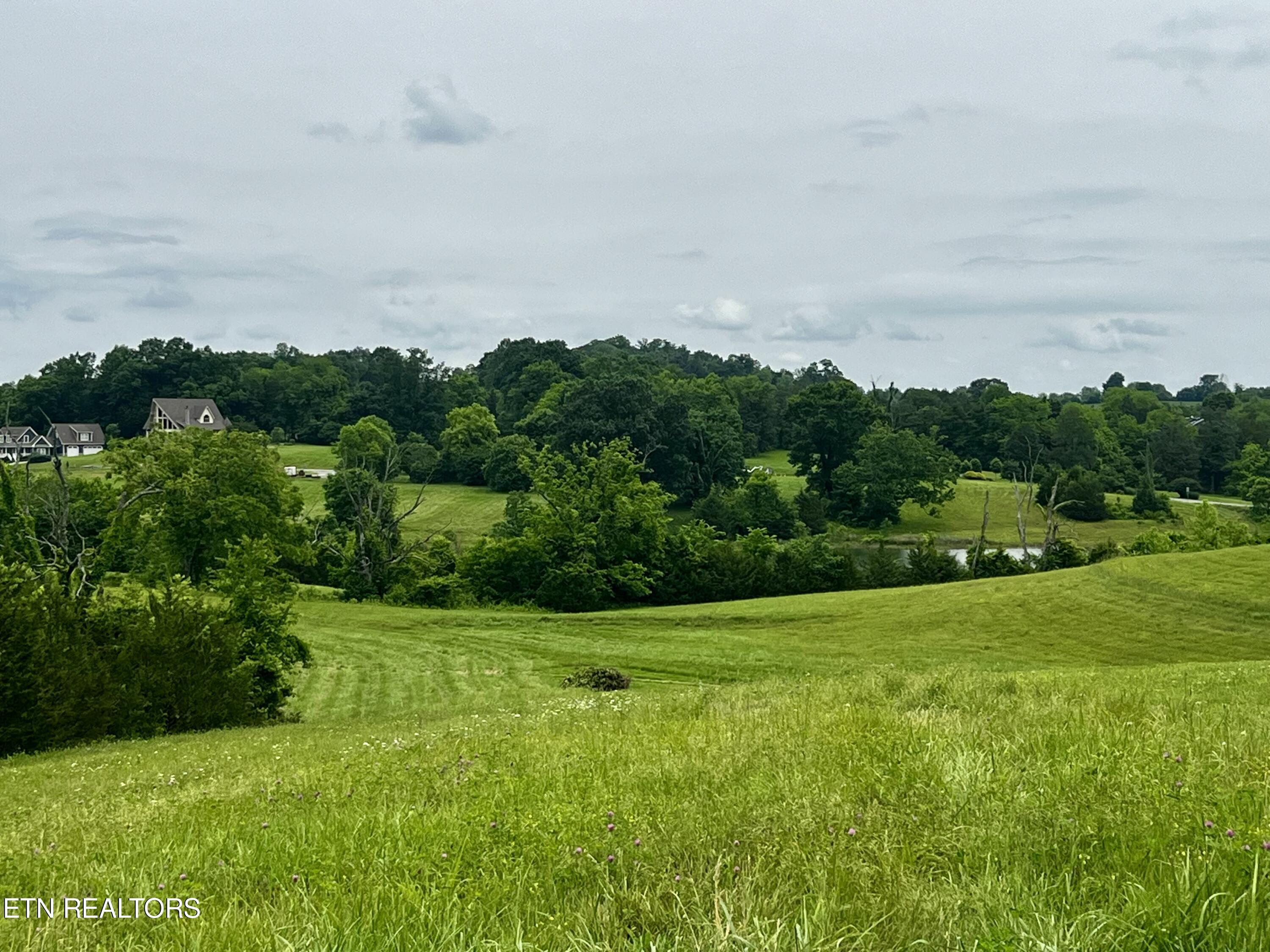 Norris Lake Real Estate - Image# 2