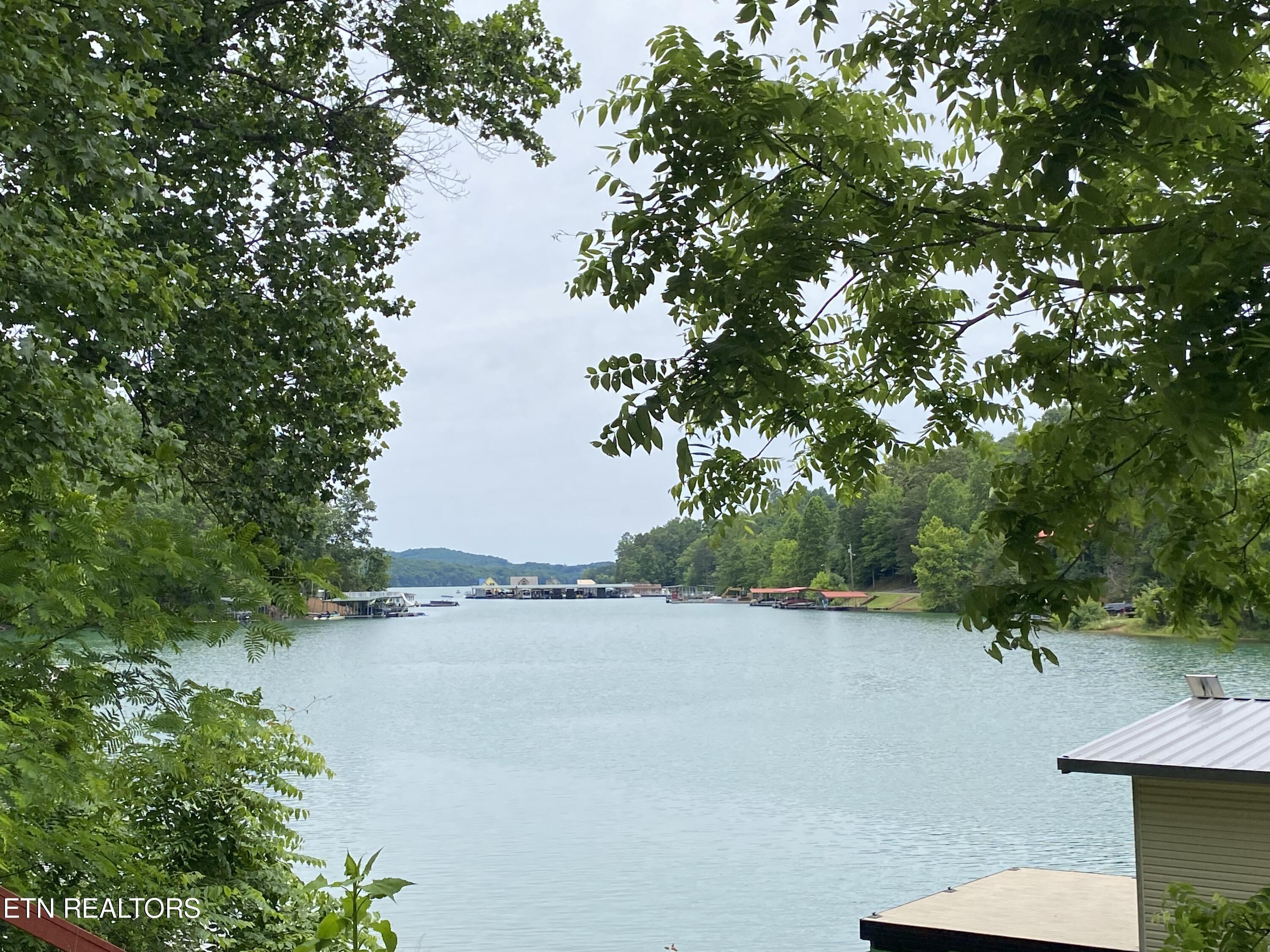 Norris Lake Real Estate - Image# 30