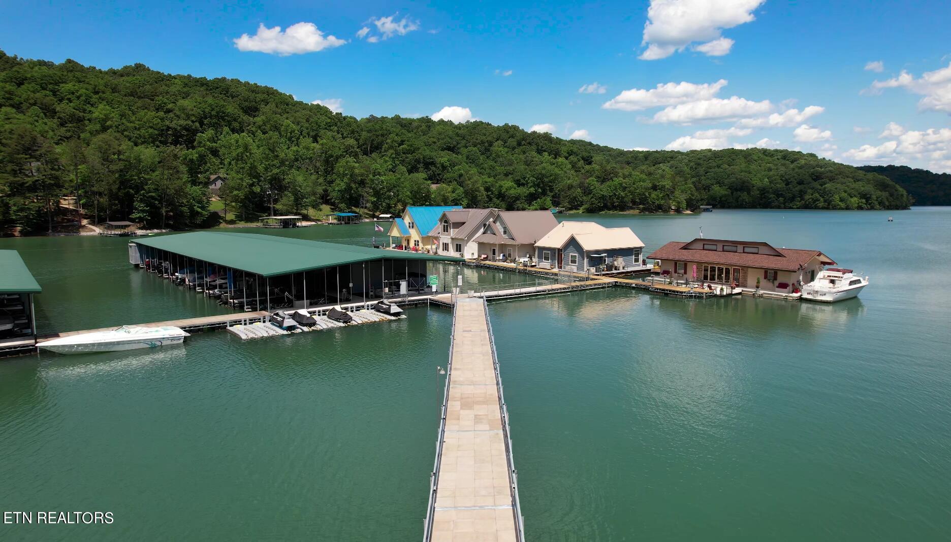 Norris Lake Real Estate - Image# 3