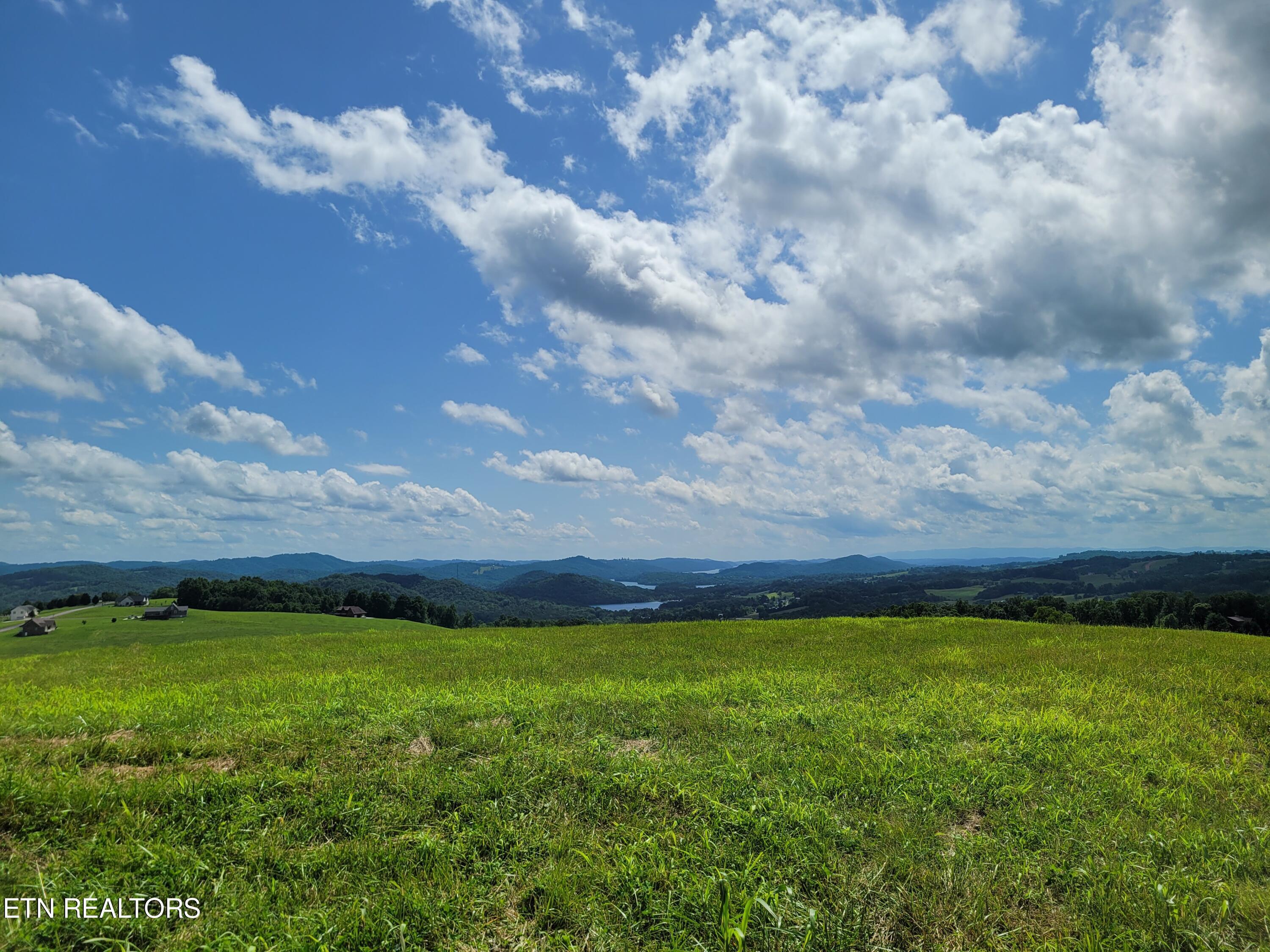 Norris Lake Real Estate - Image# 2