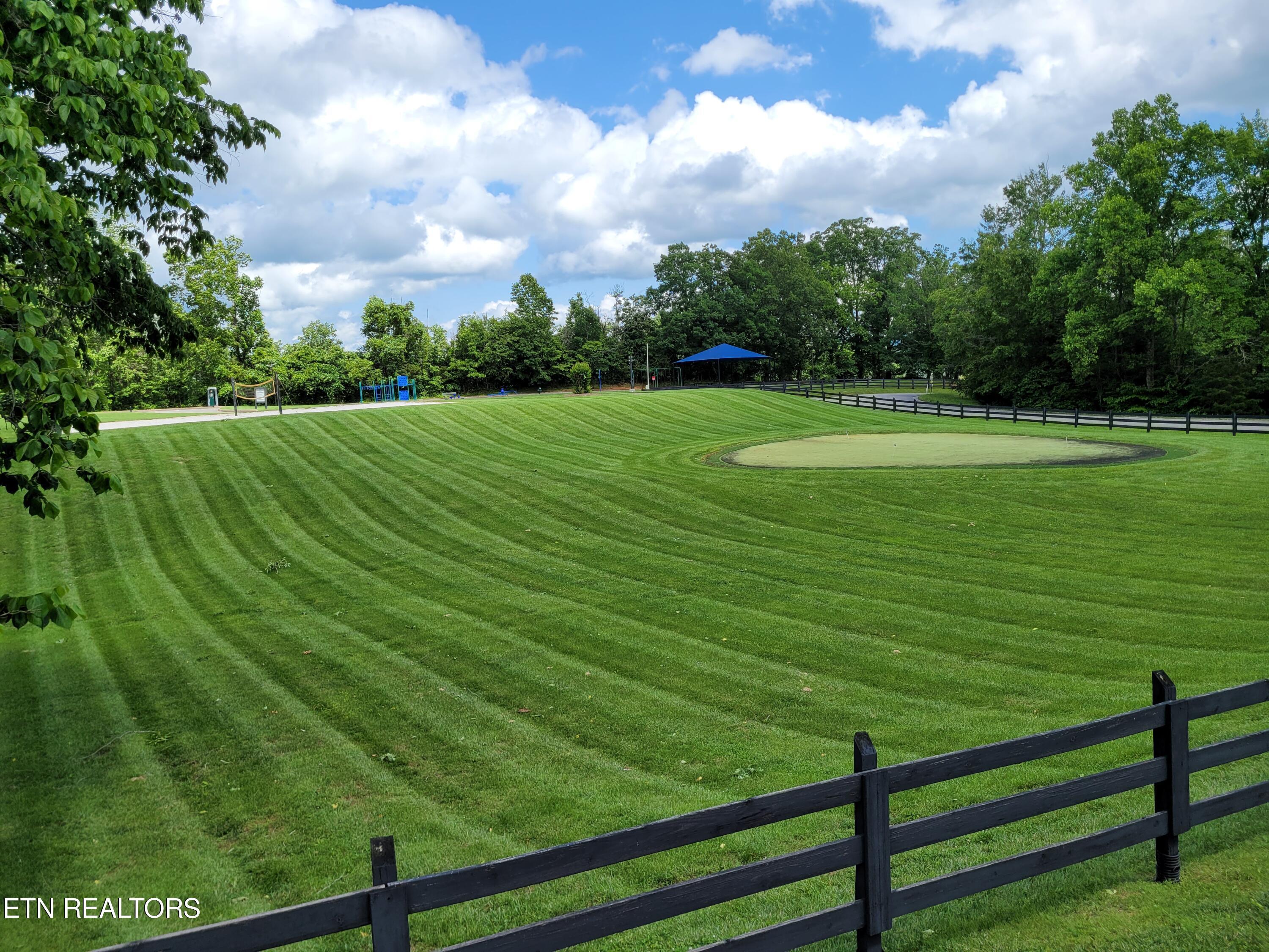 Norris Lake Real Estate - Image# 8