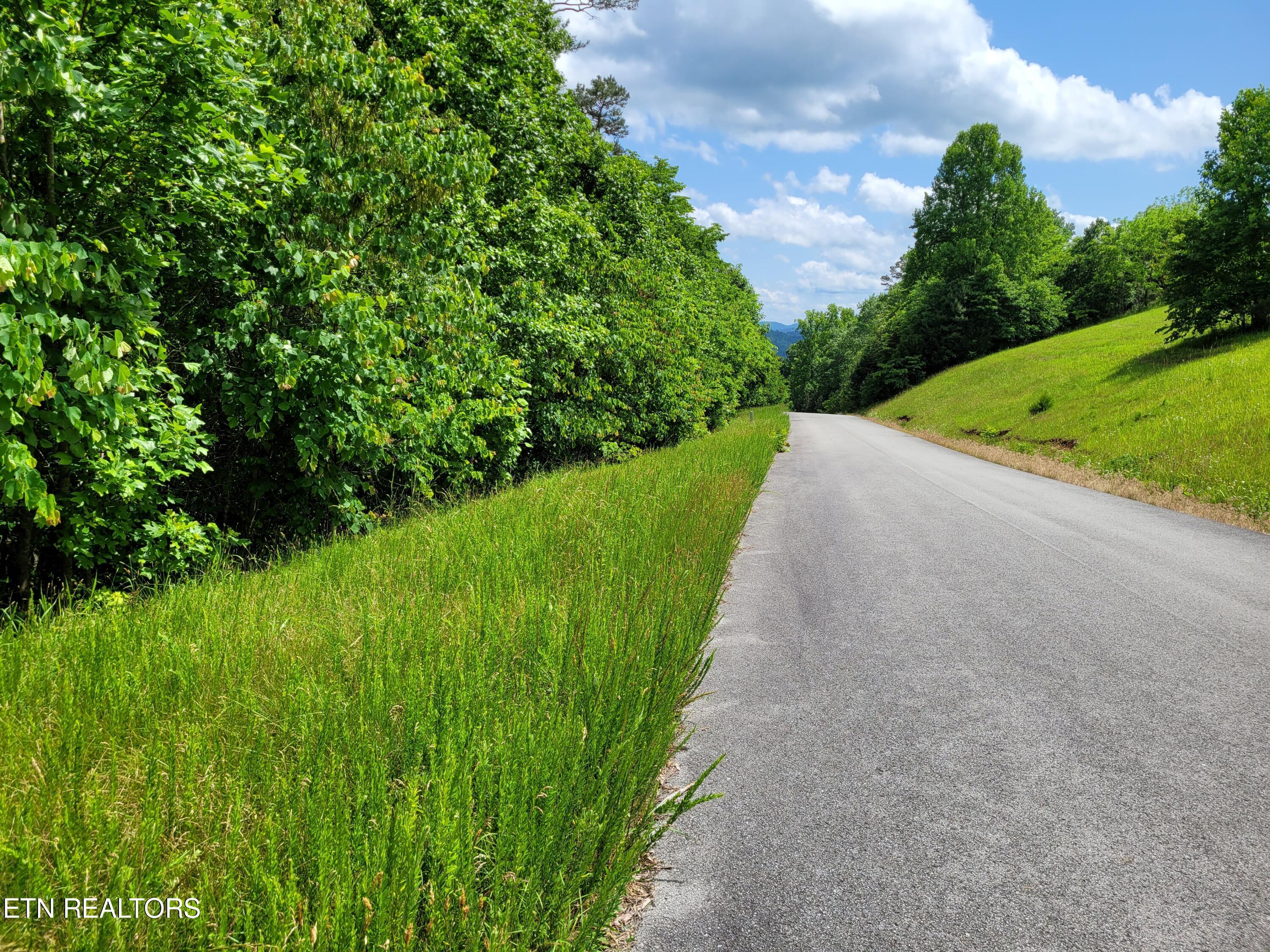 Norris Lake Real Estate - Image# 5