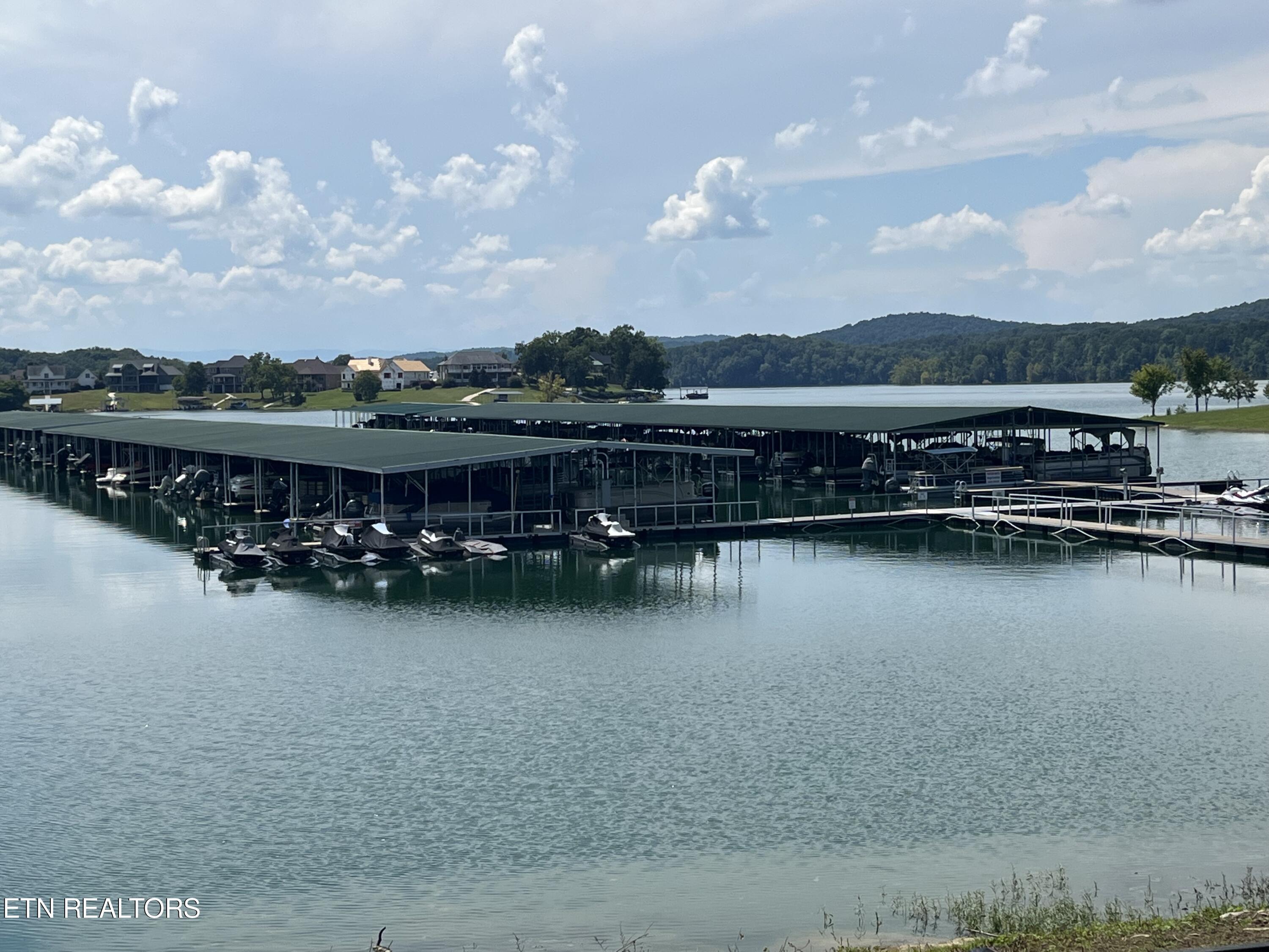 Norris Lake Real Estate - Image# 8