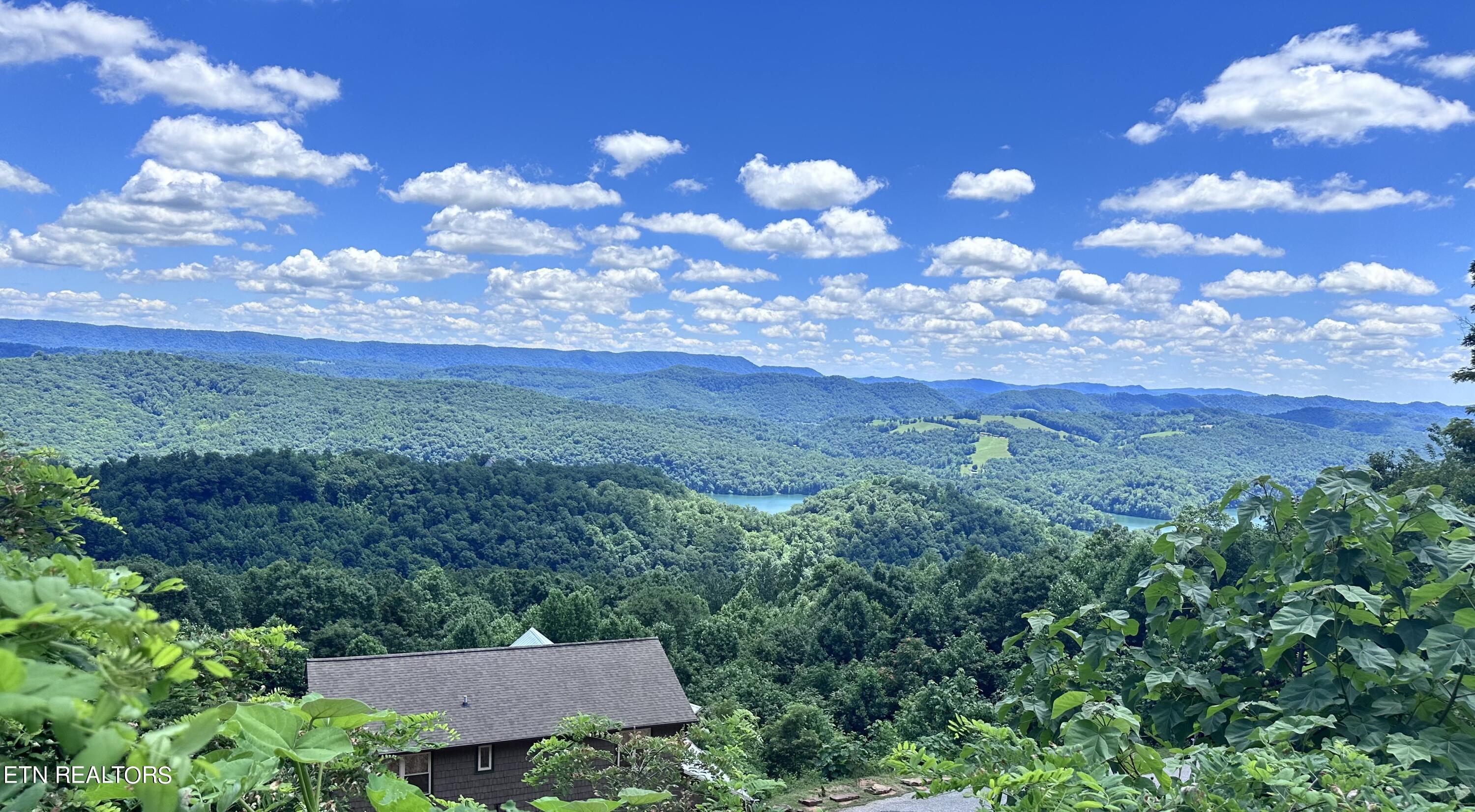 Norris Lake Real Estate - Image# 2