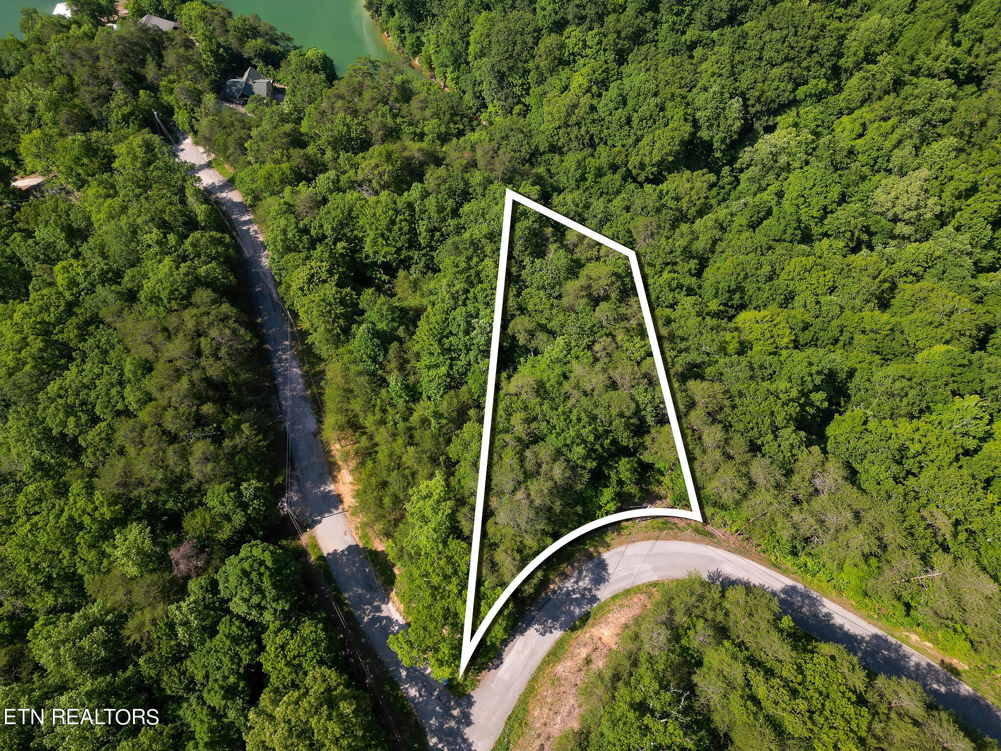 Norris Lake Real Estate - Image# 1