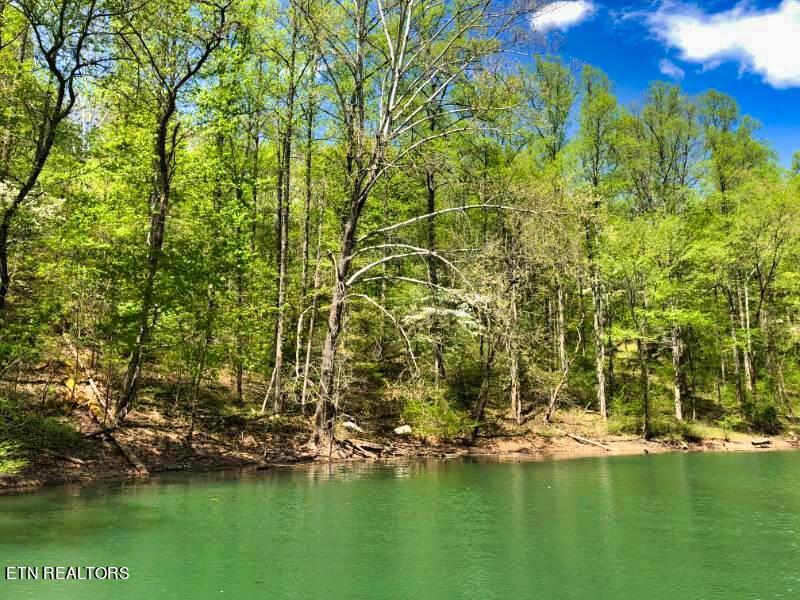 Norris Lake Real Estate - Image# 2