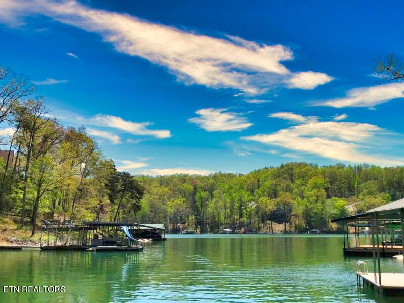 Norris Lake Real Estate - Image# 1