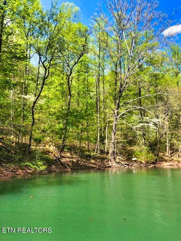 Norris Lake Real Estate - Image# 3