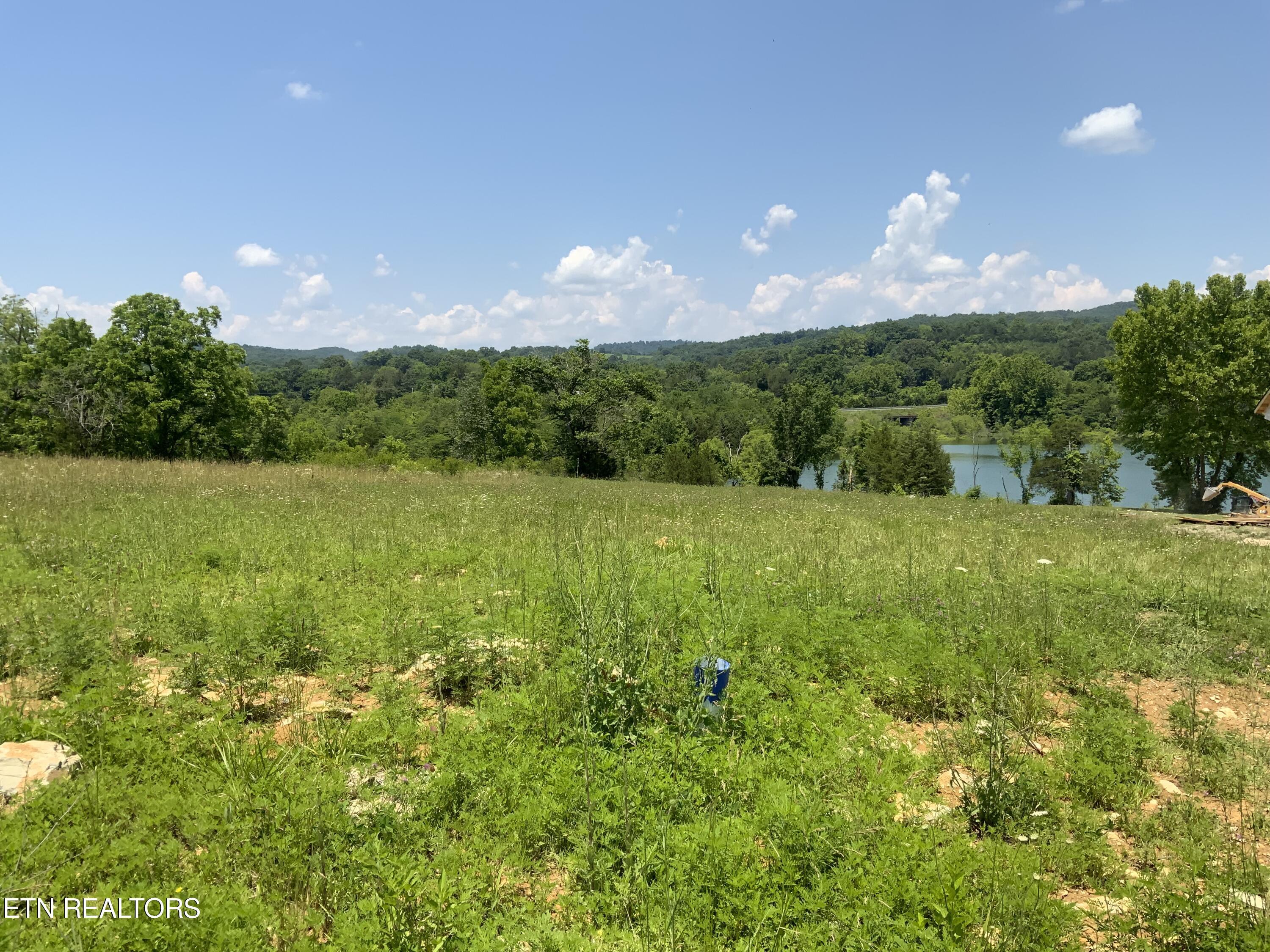 Norris Lake Real Estate - Image# 5