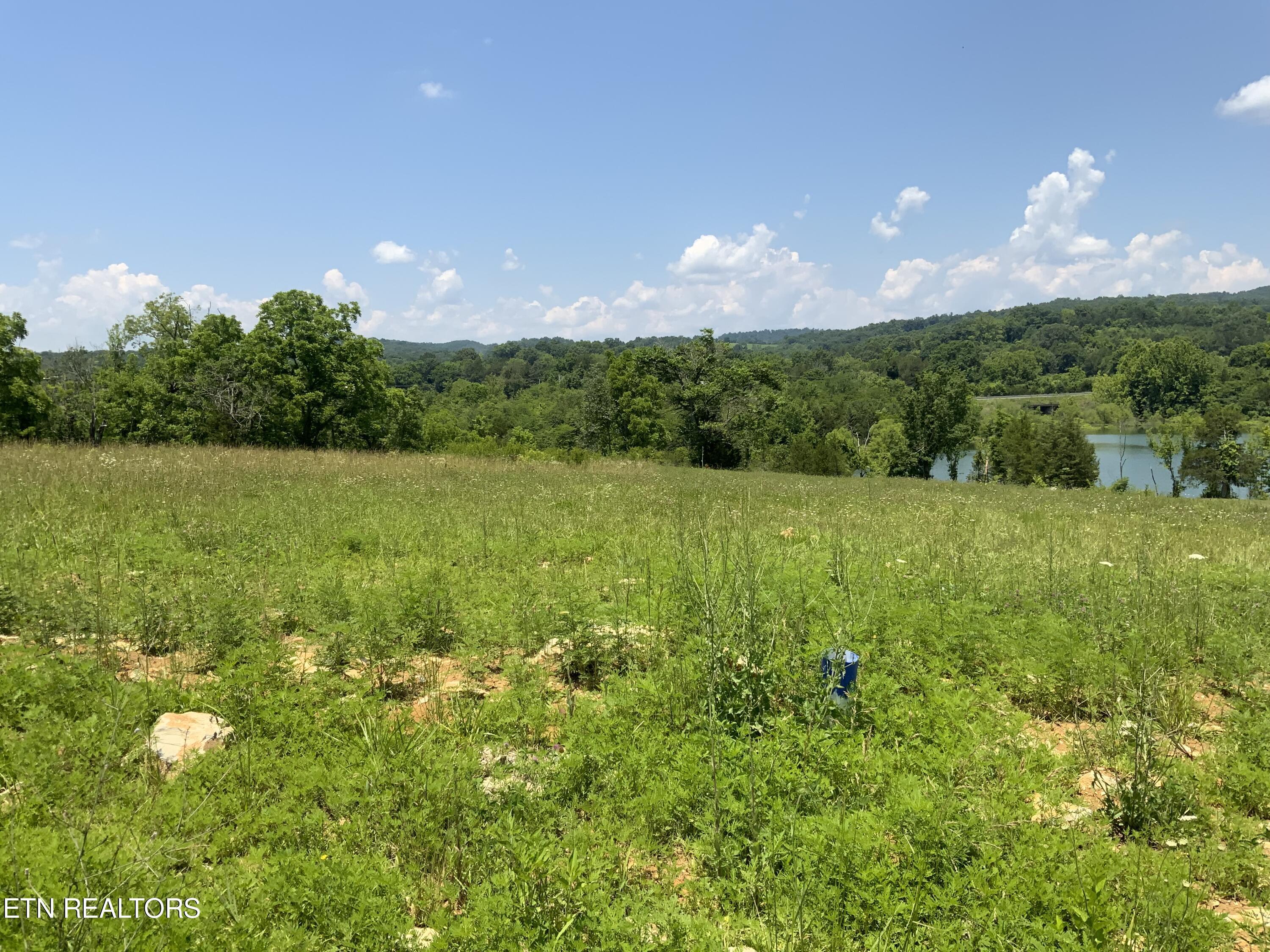 Norris Lake Real Estate - Image# 6