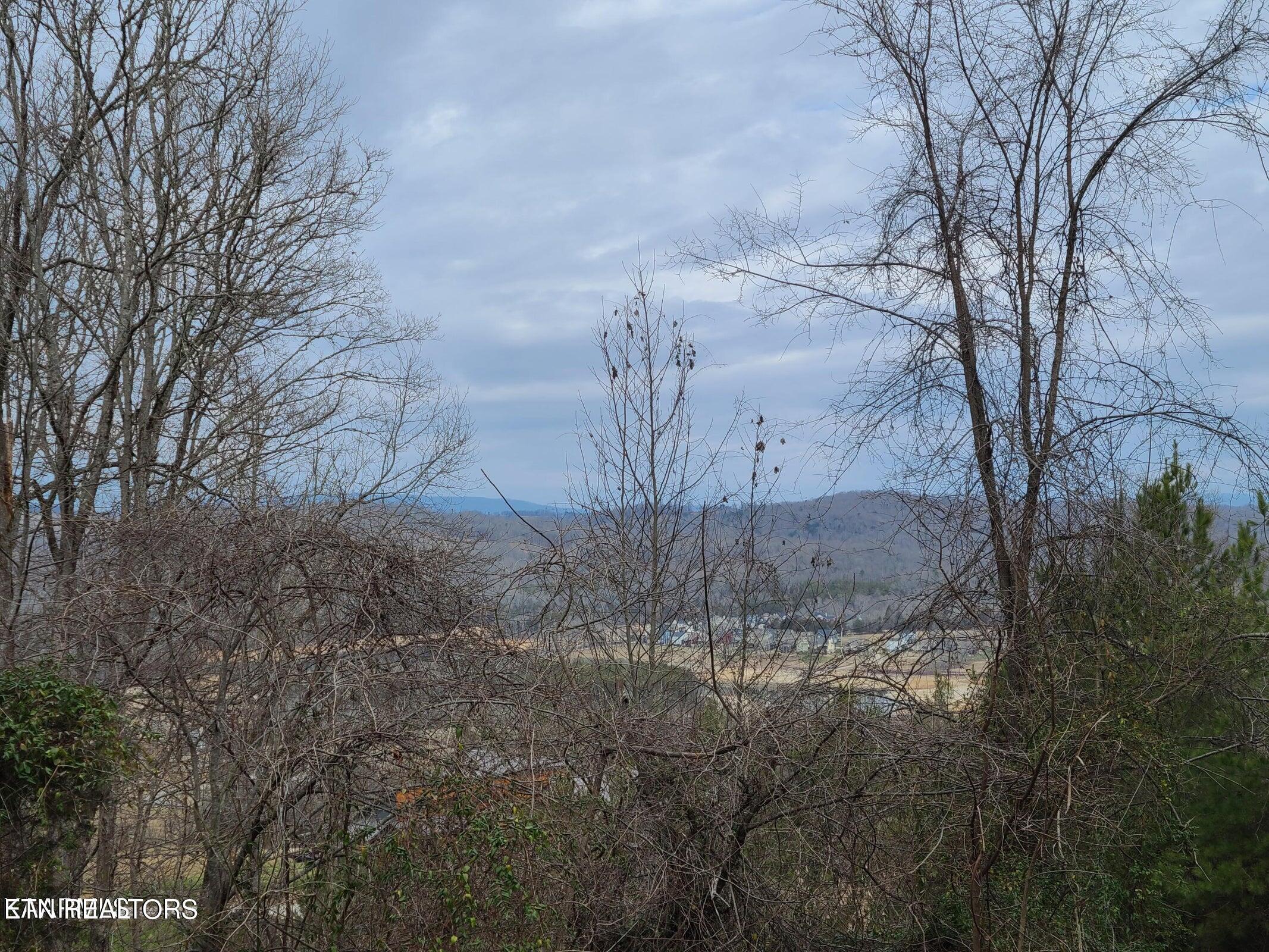 Norris Lake Real Estate - Image# 15