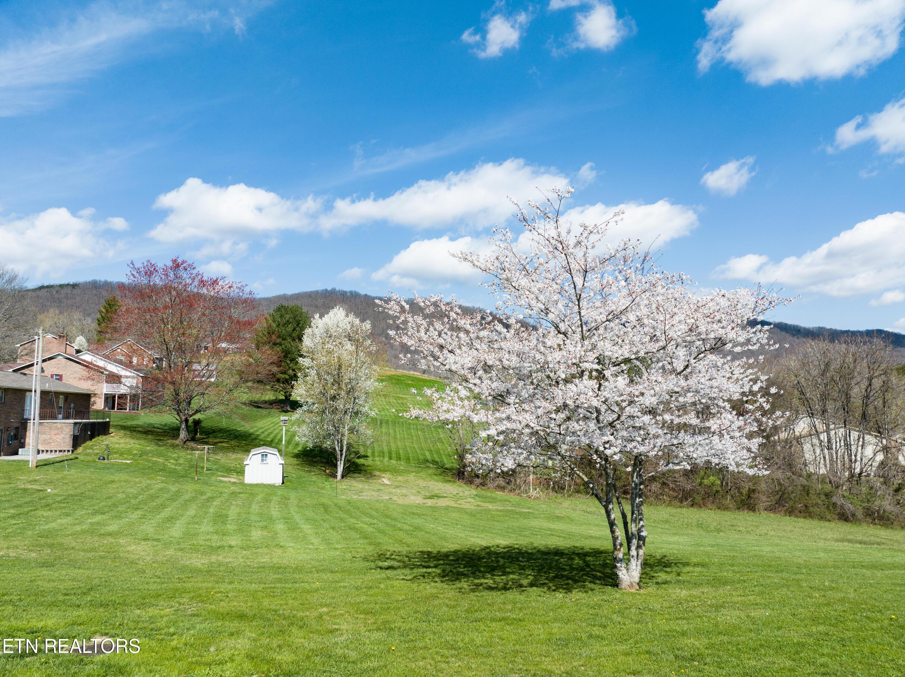 Norris Lake Real Estate - Image# 21