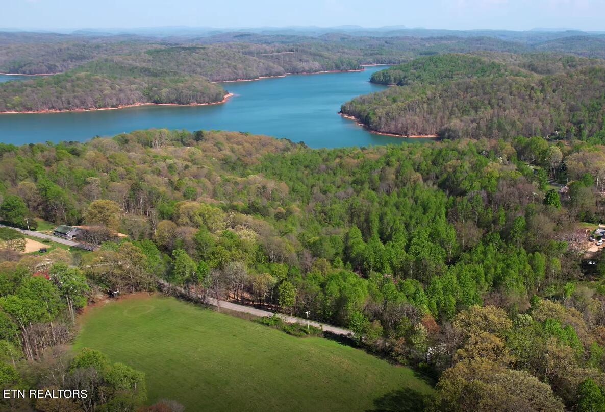 Norris Lake Real Estate - Image# 11