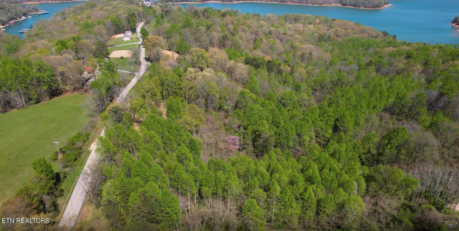 Norris Lake Real Estate - Image# 14