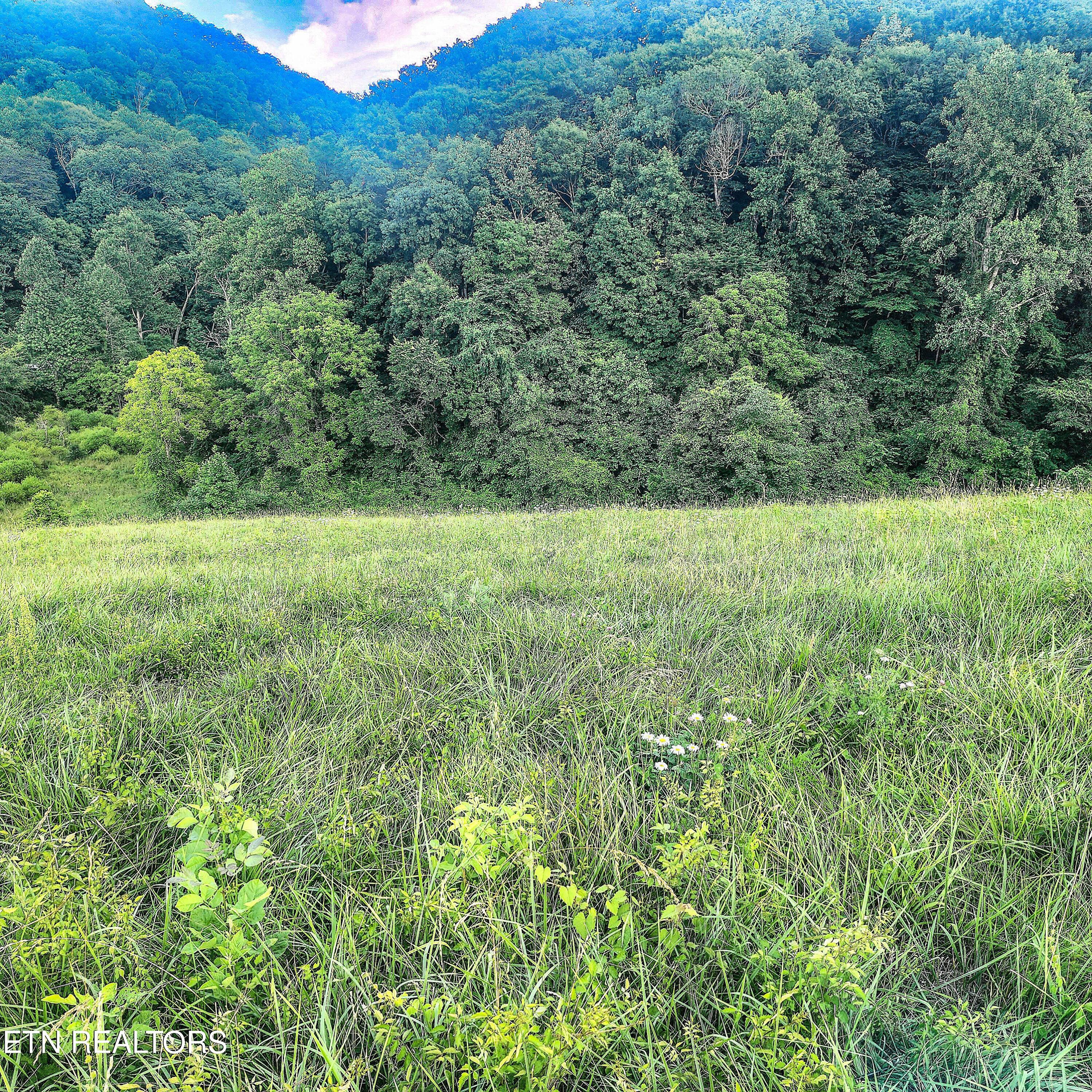 Norris Lake Real Estate - Image# 4