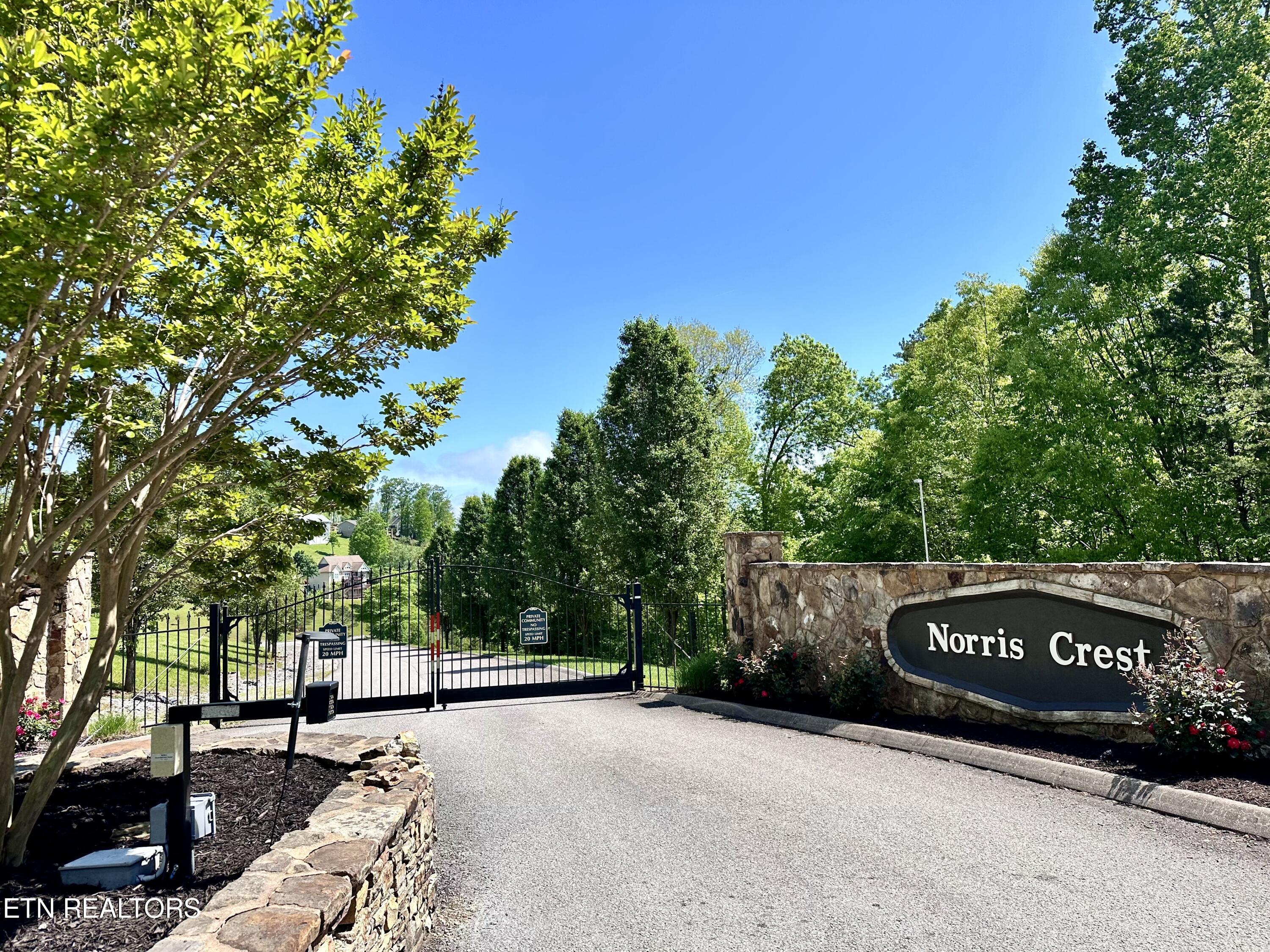 Norris Lake Real Estate - Image# 2