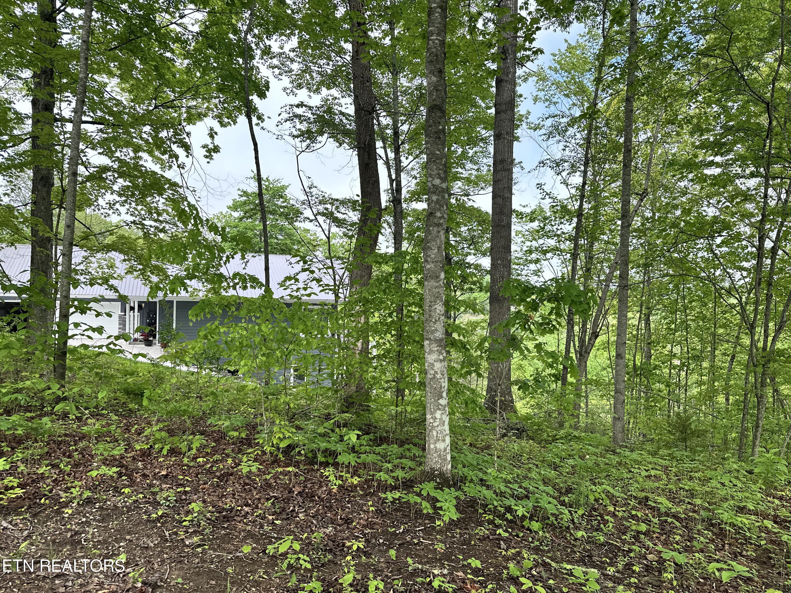 Norris Lake Real Estate - Image# 14