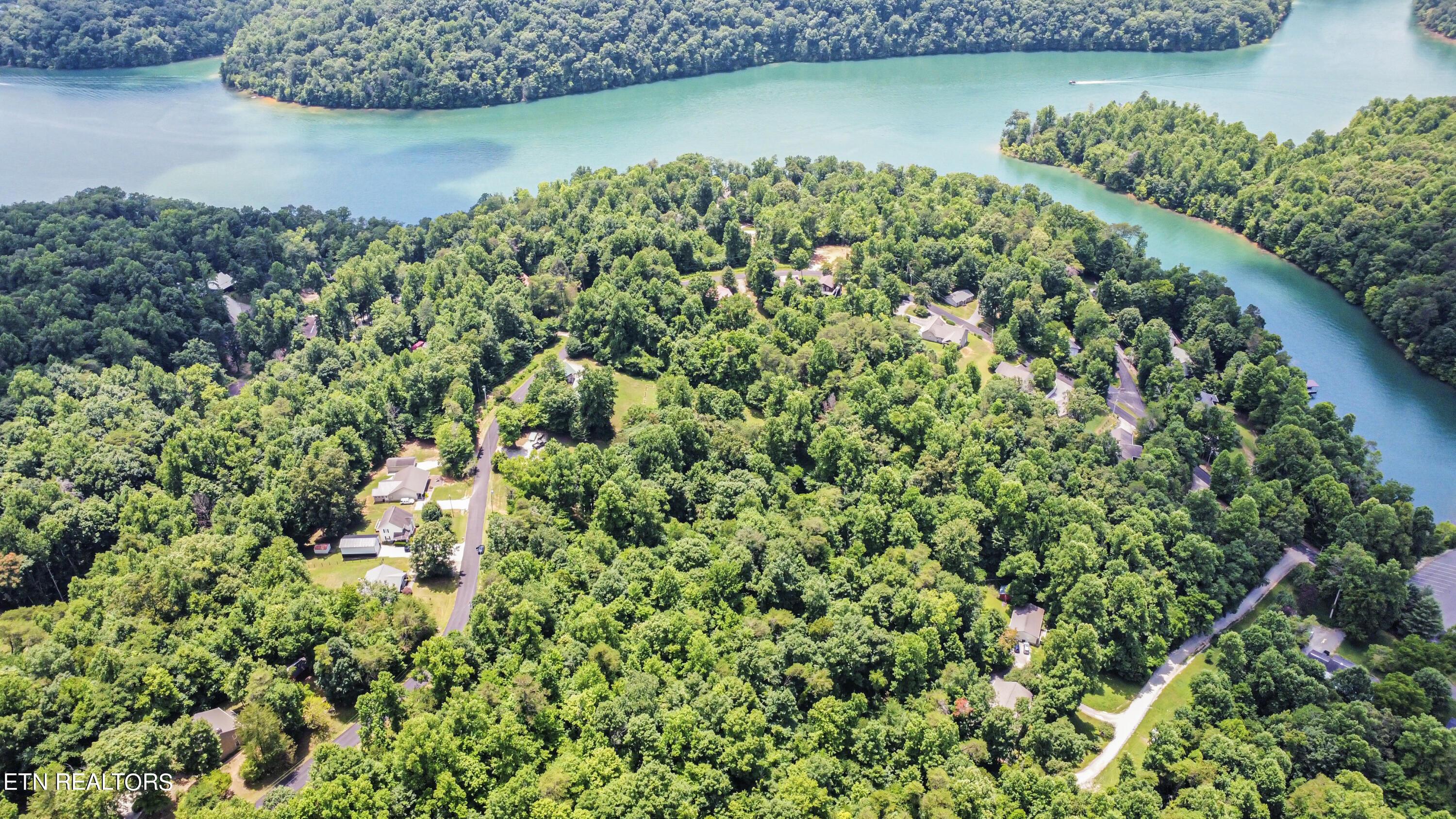 Norris Lake Real Estate - Image# 15