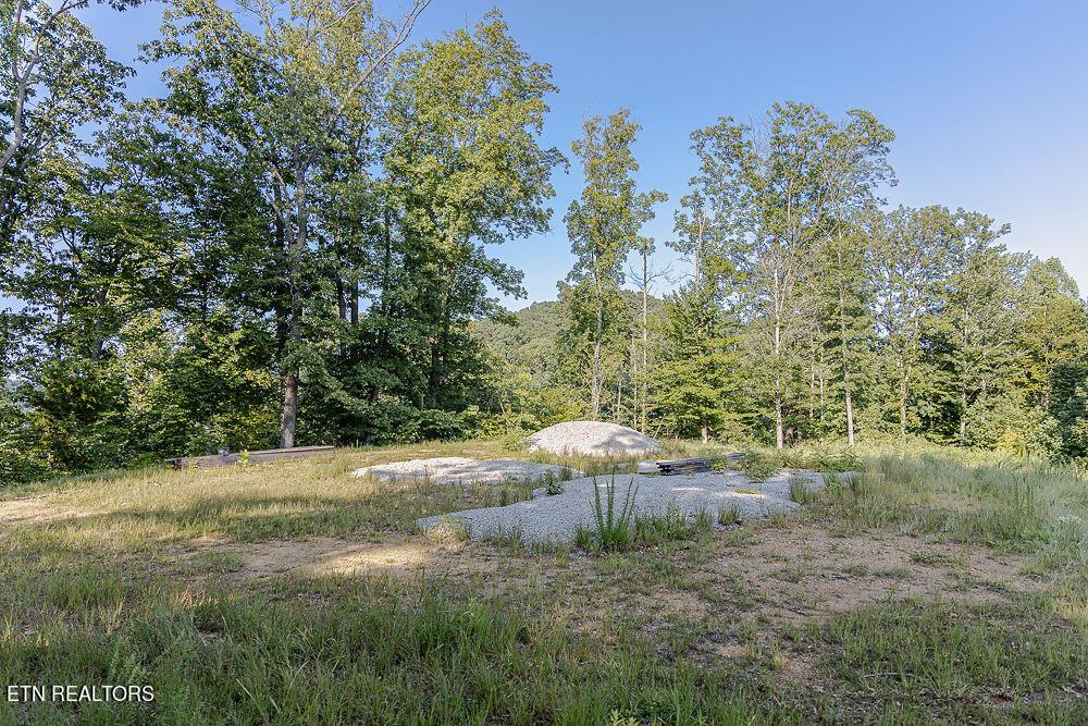 Norris Lake Real Estate - Image# 46