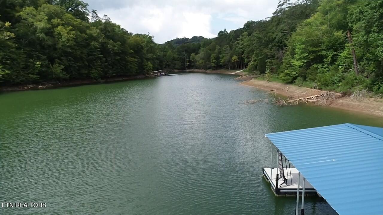 Norris Lake Real Estate - Image# 45