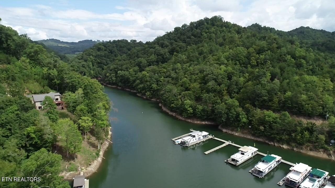 Norris Lake Real Estate - Image# 47