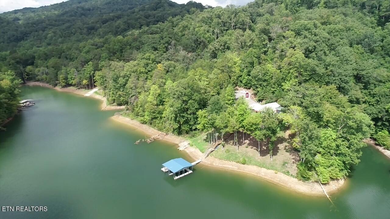 Norris Lake Real Estate - Image# 52