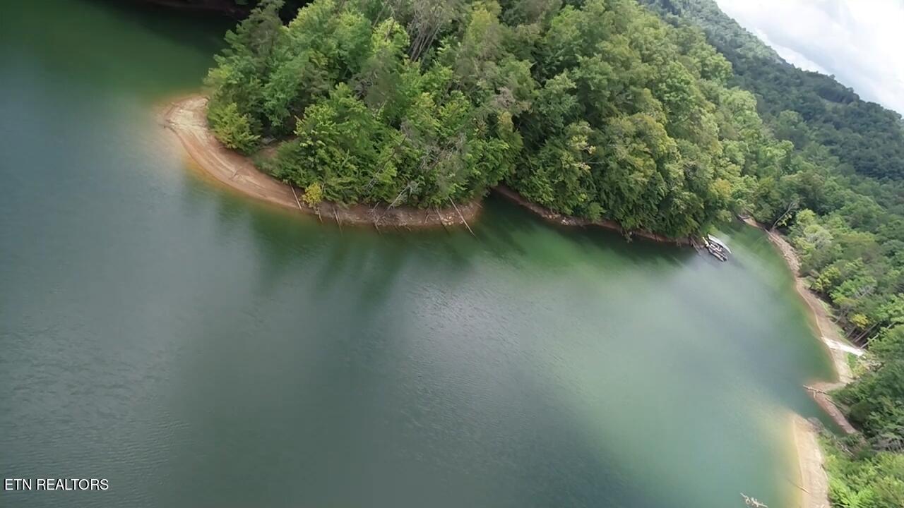 Norris Lake Real Estate - Image# 53