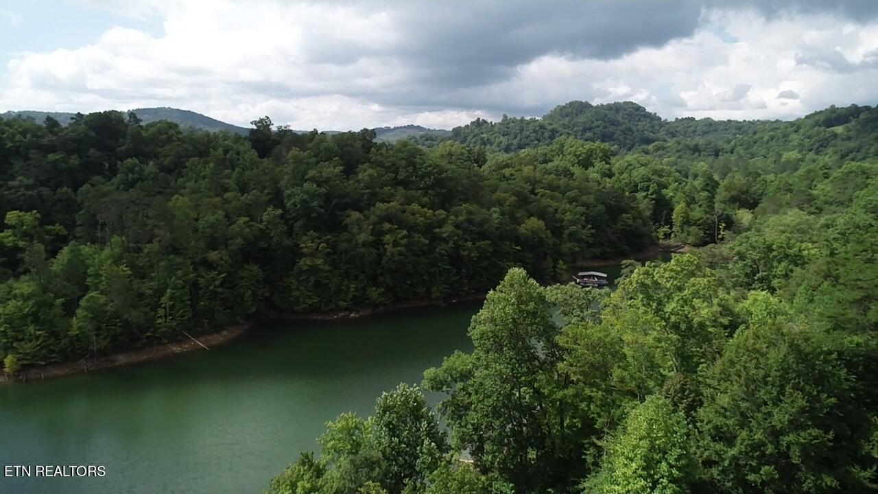 Norris Lake Real Estate - Image# 55