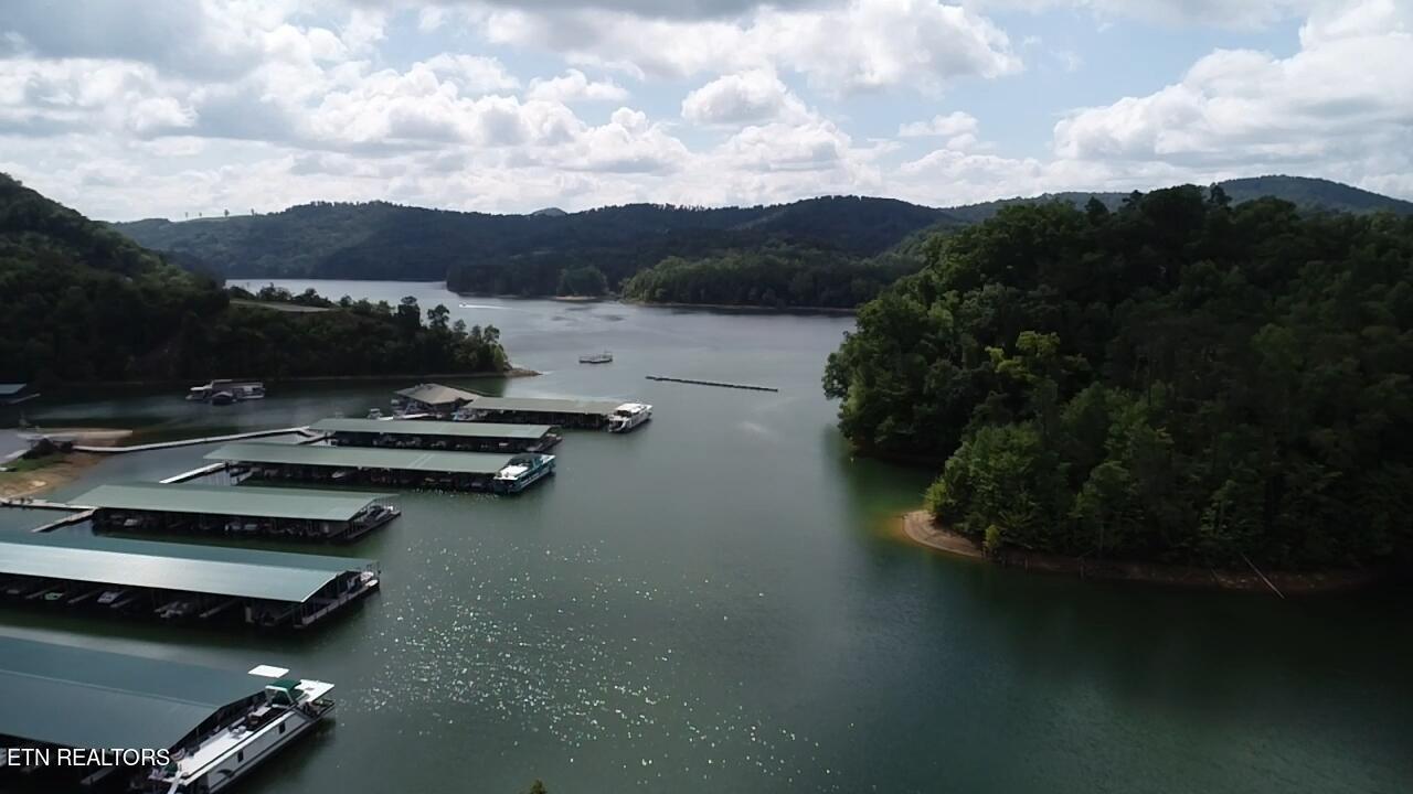 Norris Lake Real Estate - Image# 57