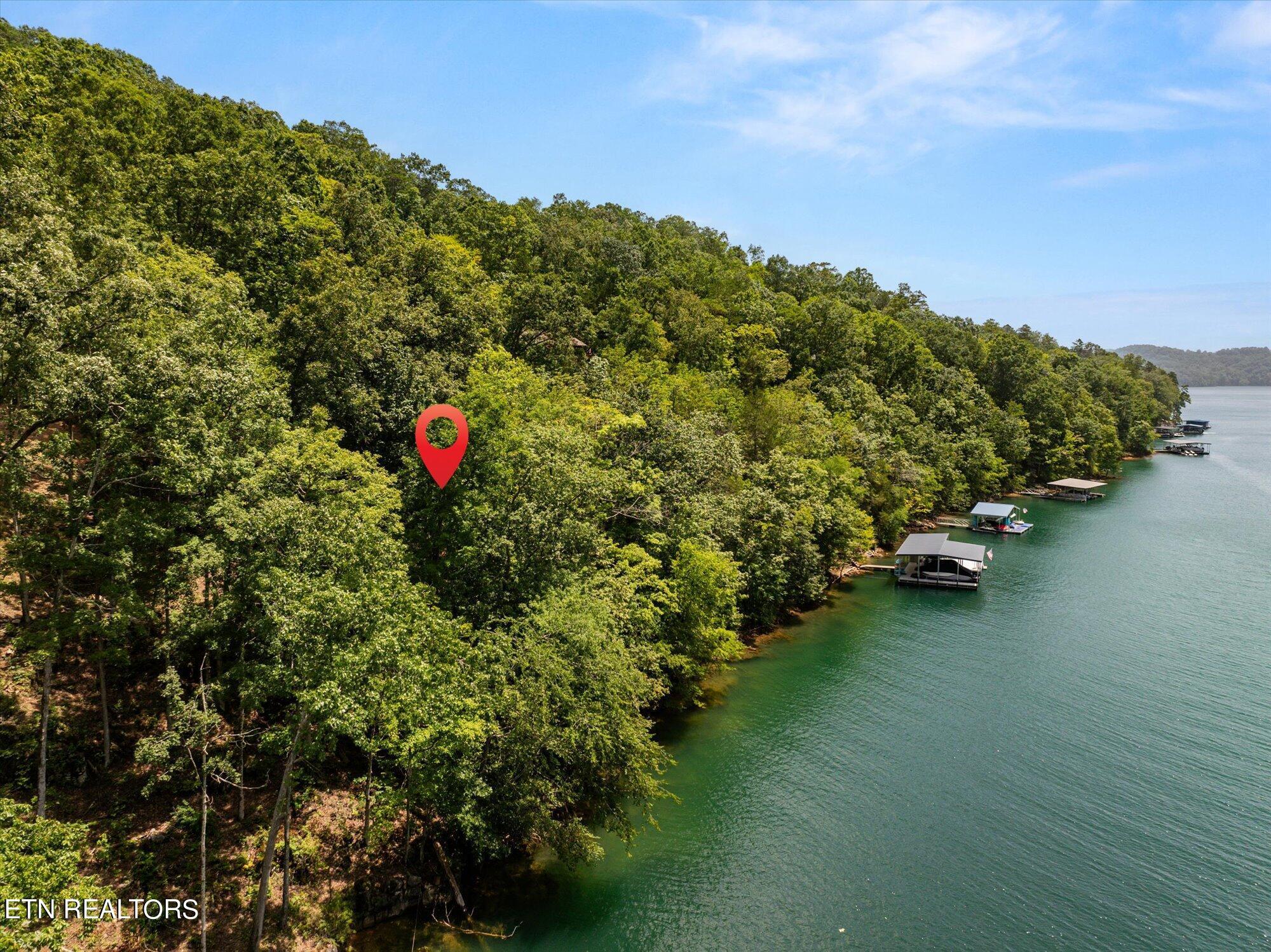 Norris Lake Real Estate - Image# 24