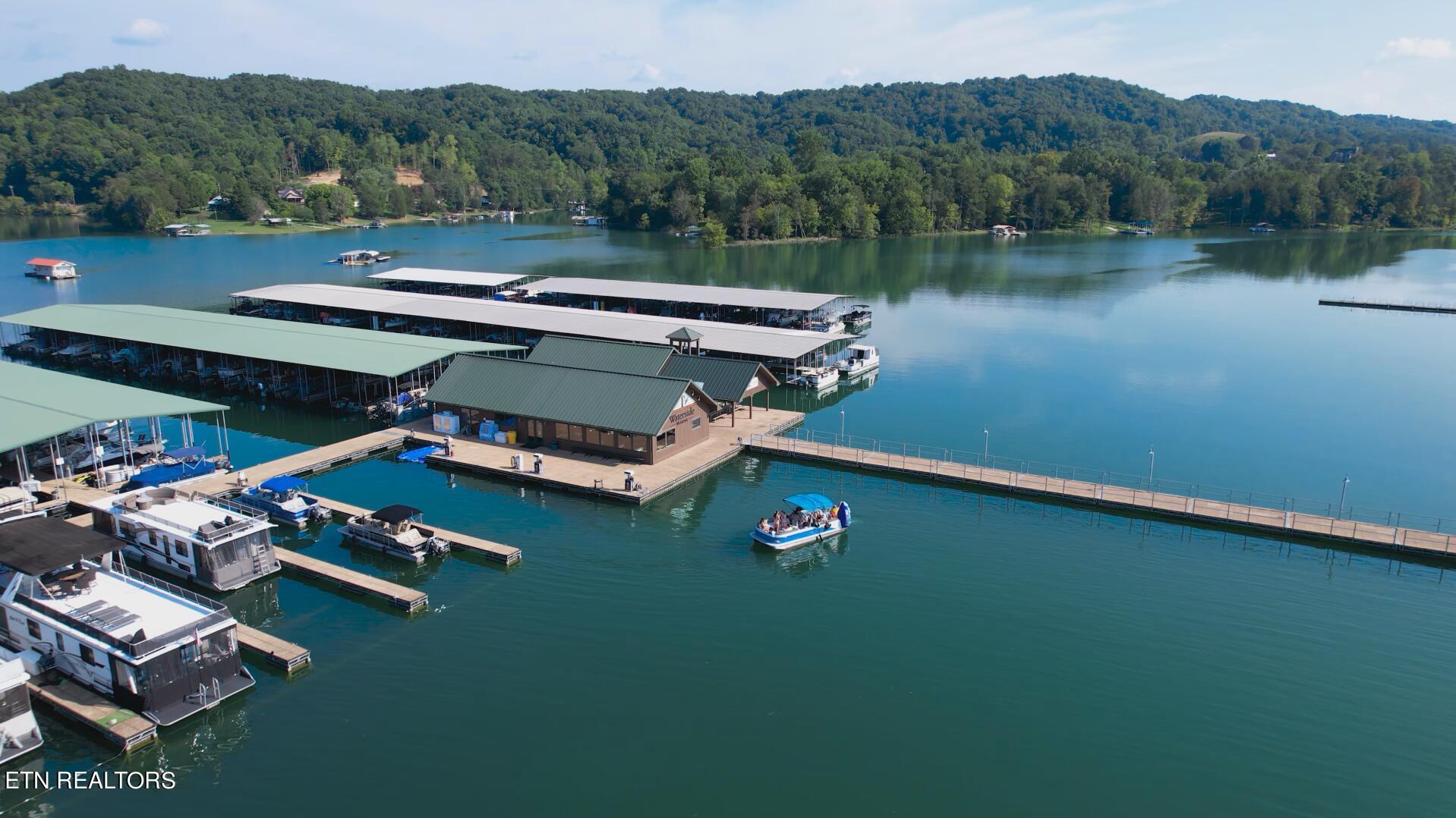 Norris Lake Real Estate - Image# 110