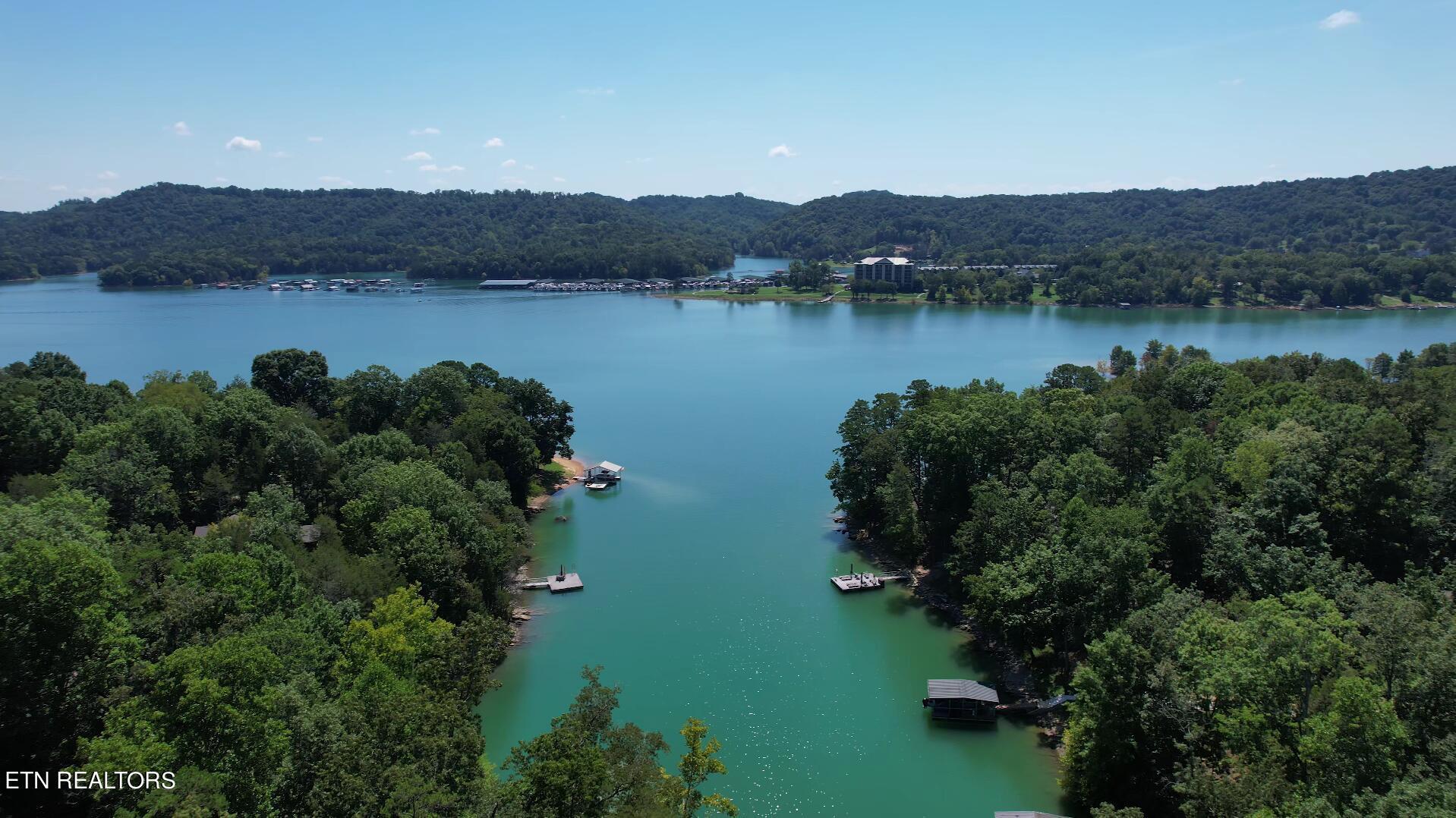 Norris Lake Real Estate - Image# 19