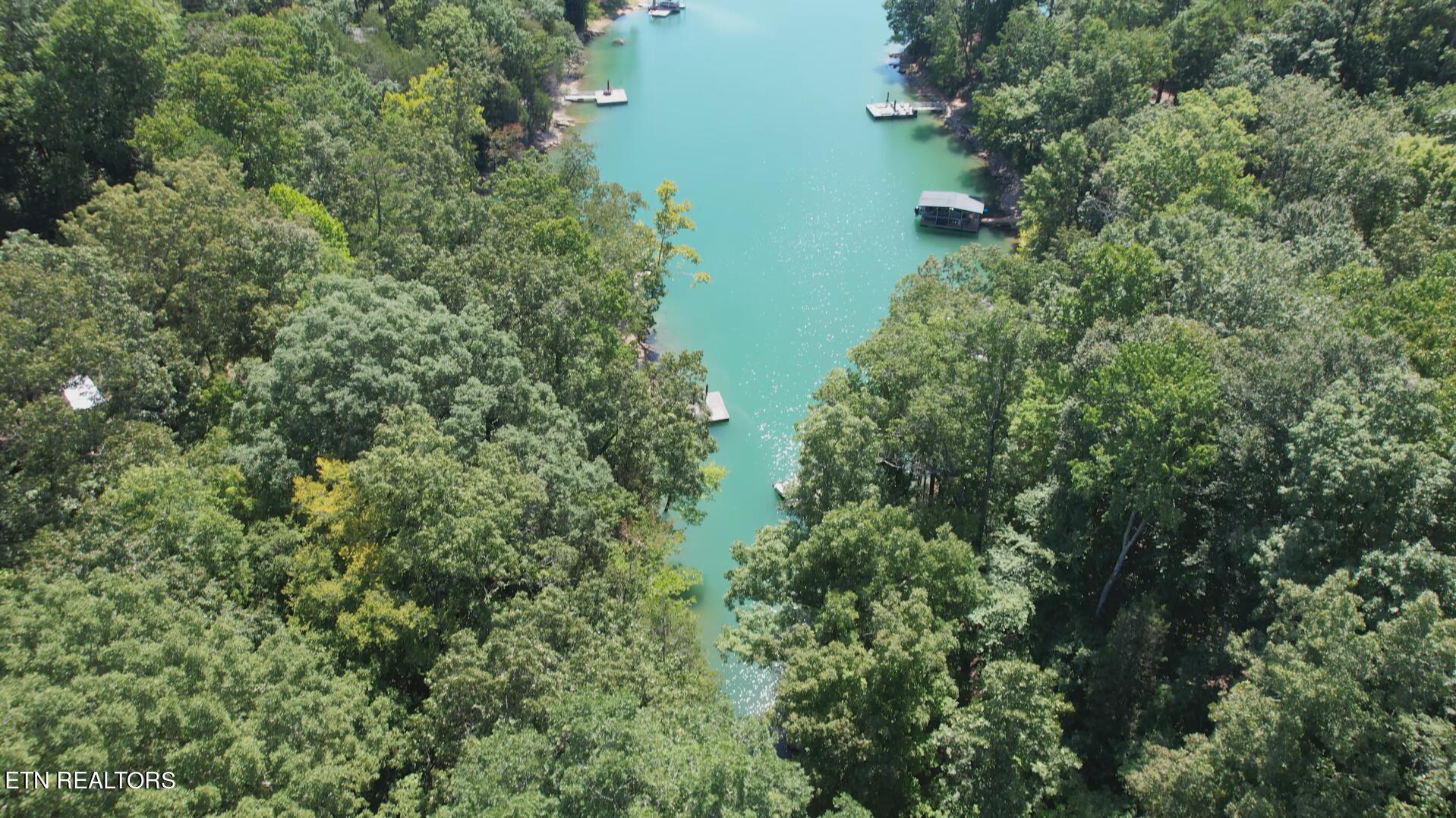 Norris Lake Real Estate - Image# 6