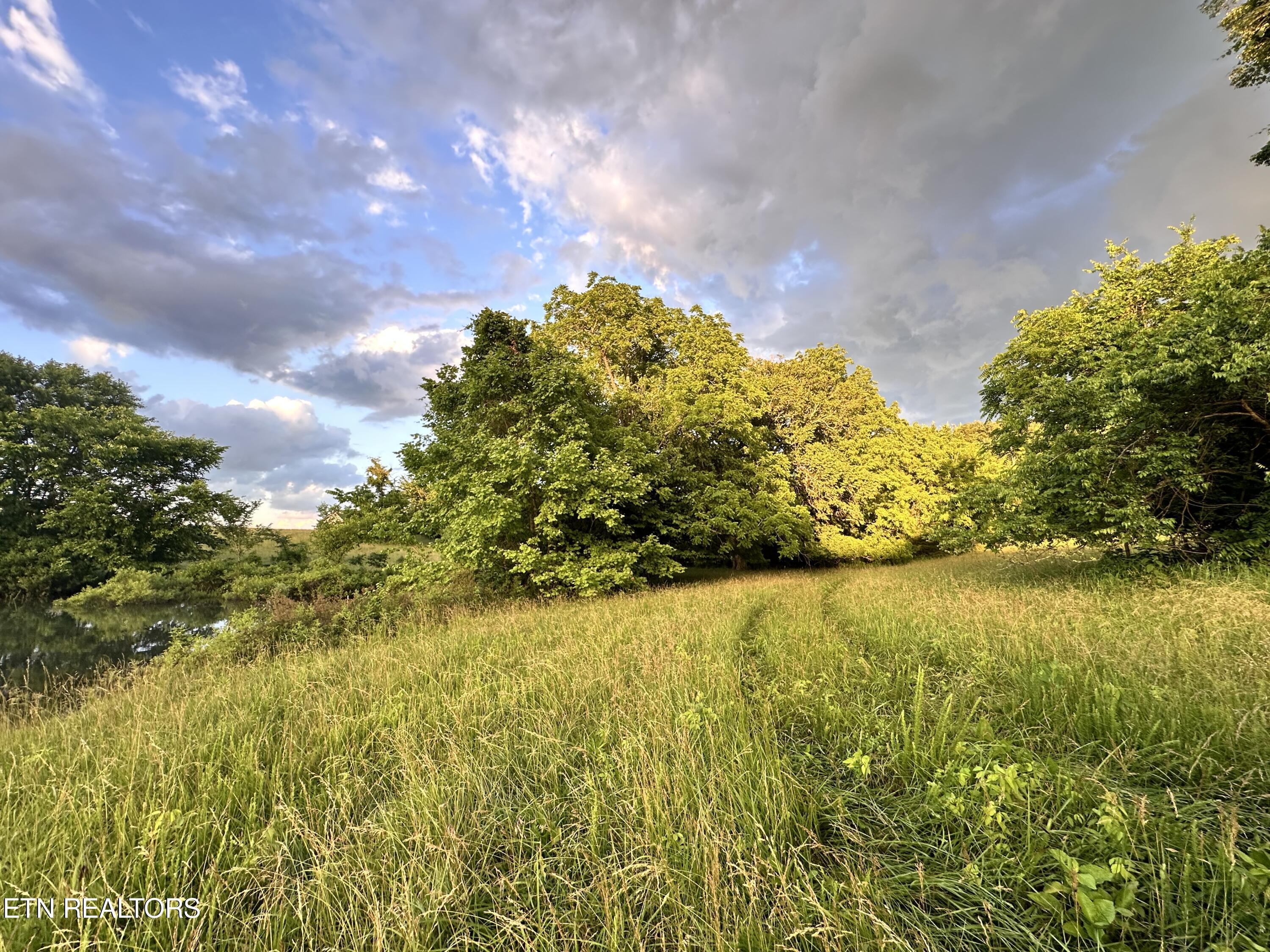 Norris Lake Real Estate - Image# 7