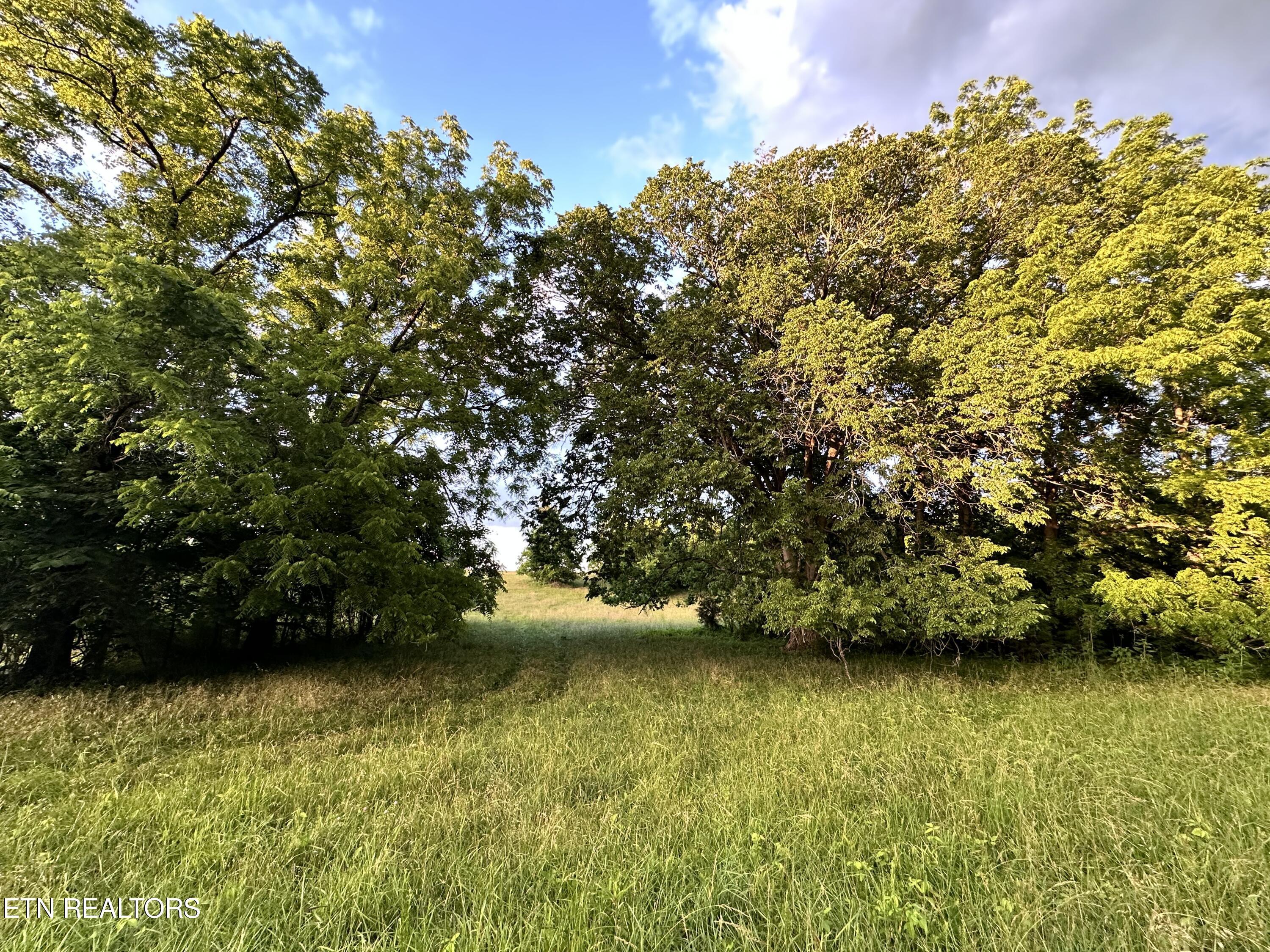 Norris Lake Real Estate - Image# 6