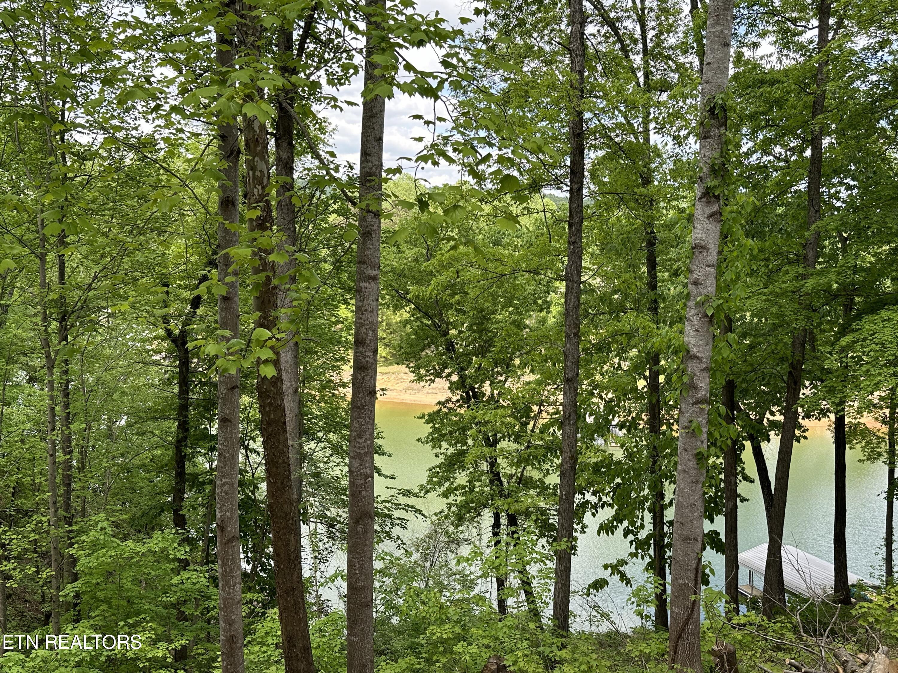 Norris Lake Real Estate - Image# 6