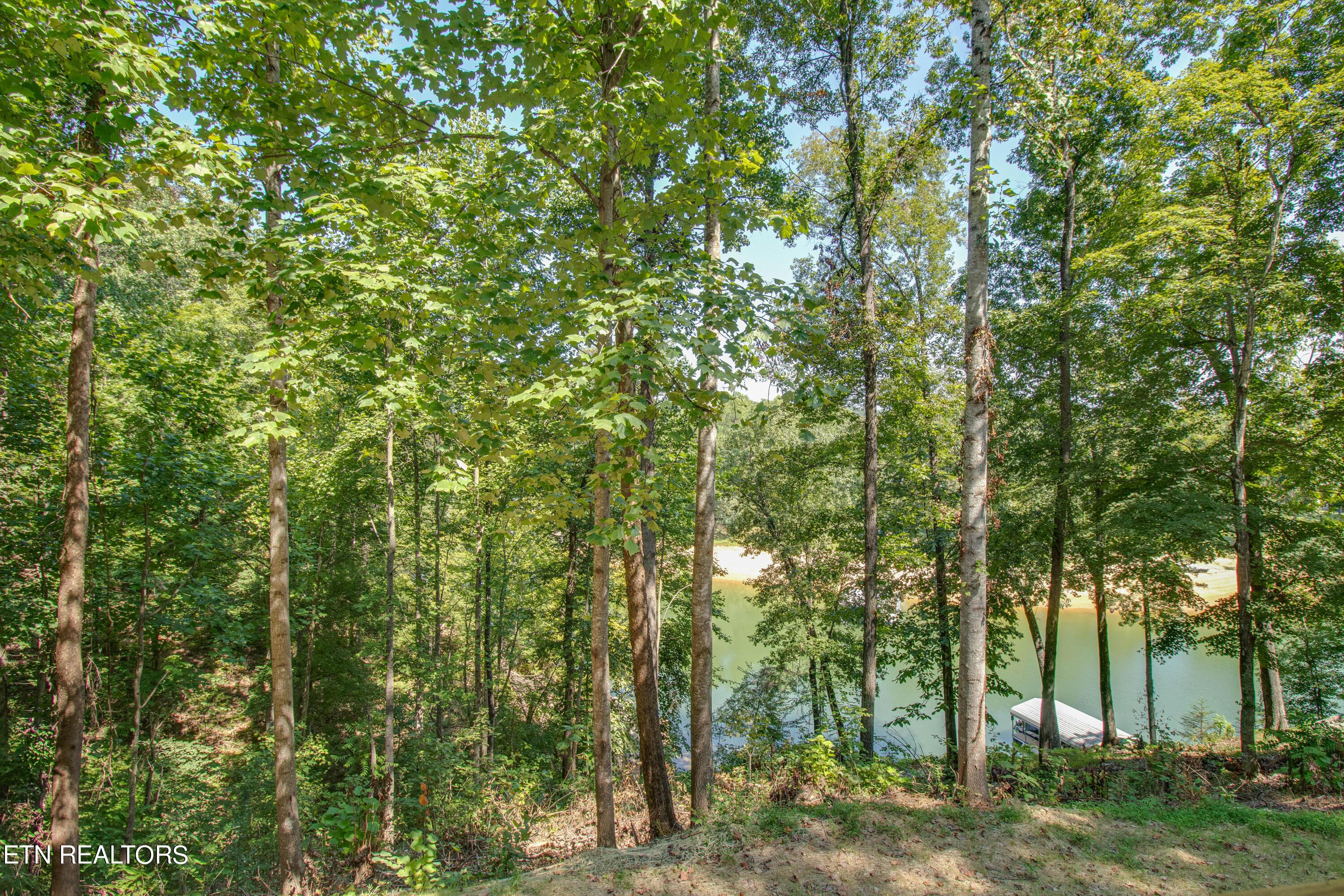 Norris Lake Real Estate - Image# 35