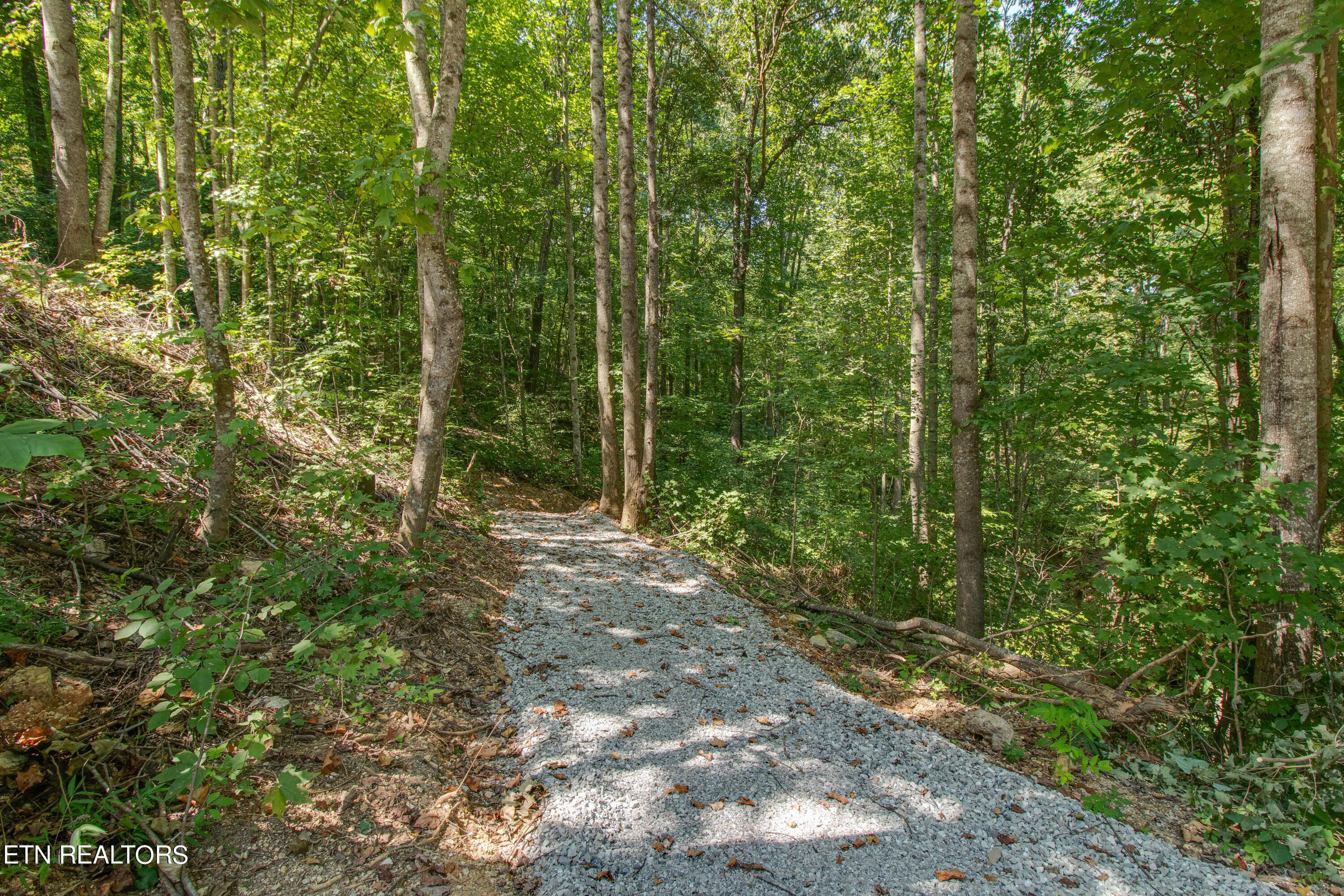 Norris Lake Real Estate - Image# 109