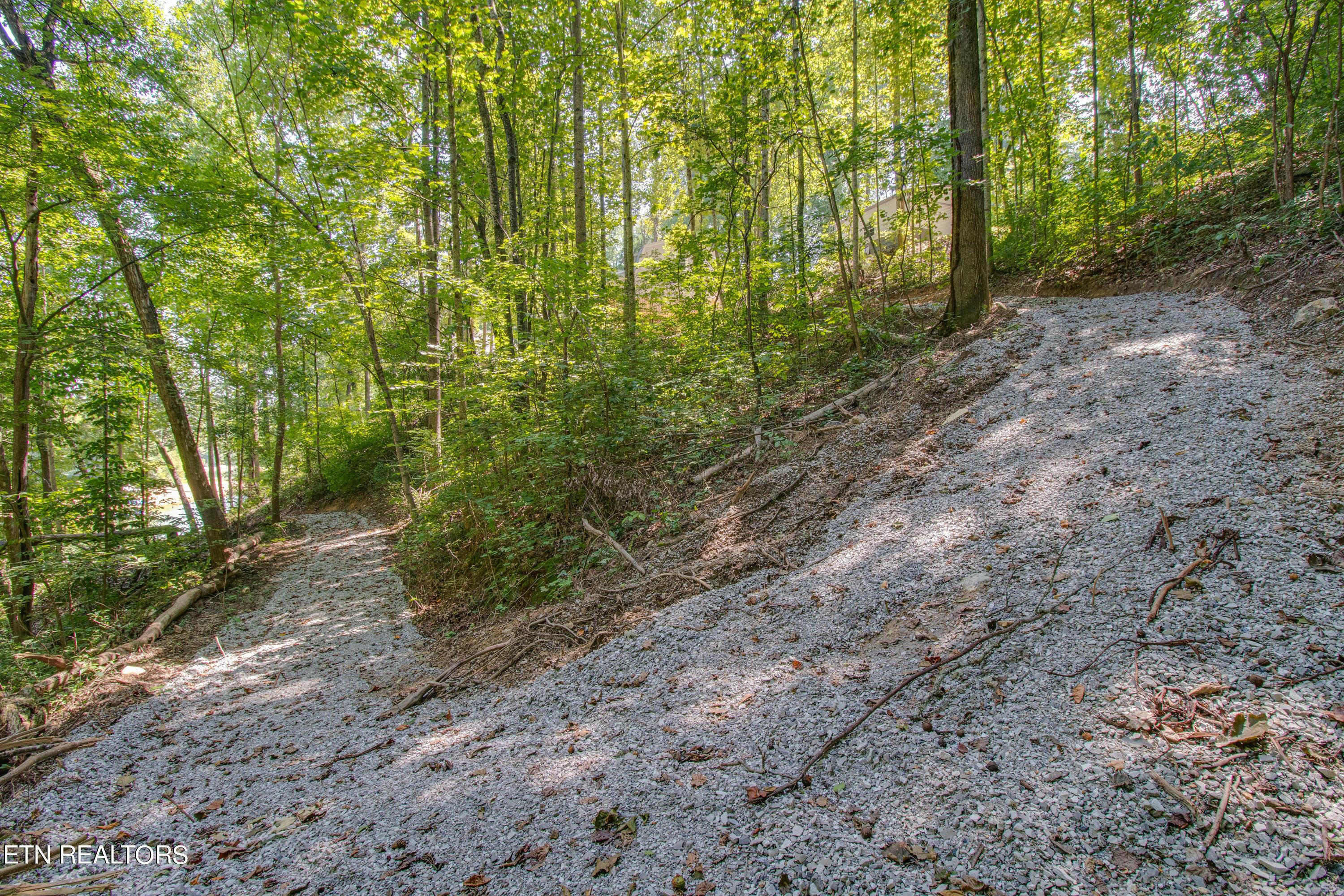 Norris Lake Real Estate - Image# 113