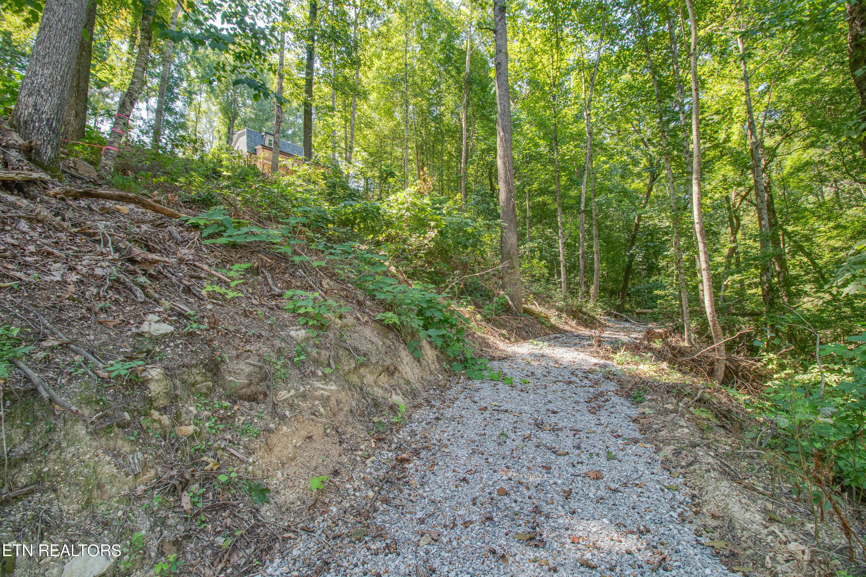 Norris Lake Real Estate - Image# 116