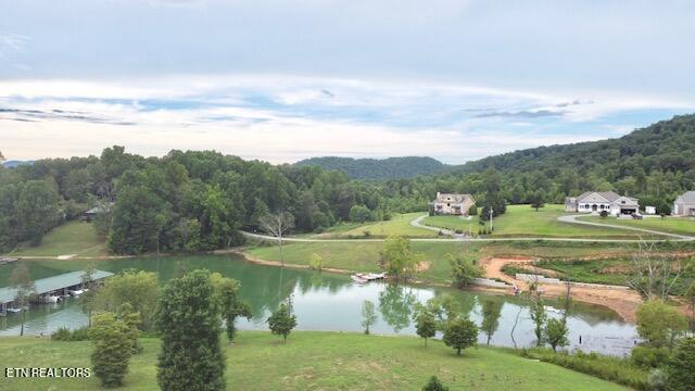 Norris Lake Real Estate - Image# 10