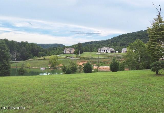 Norris Lake Real Estate - Image# 15