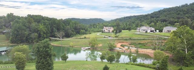 Norris Lake Real Estate - Image# 4