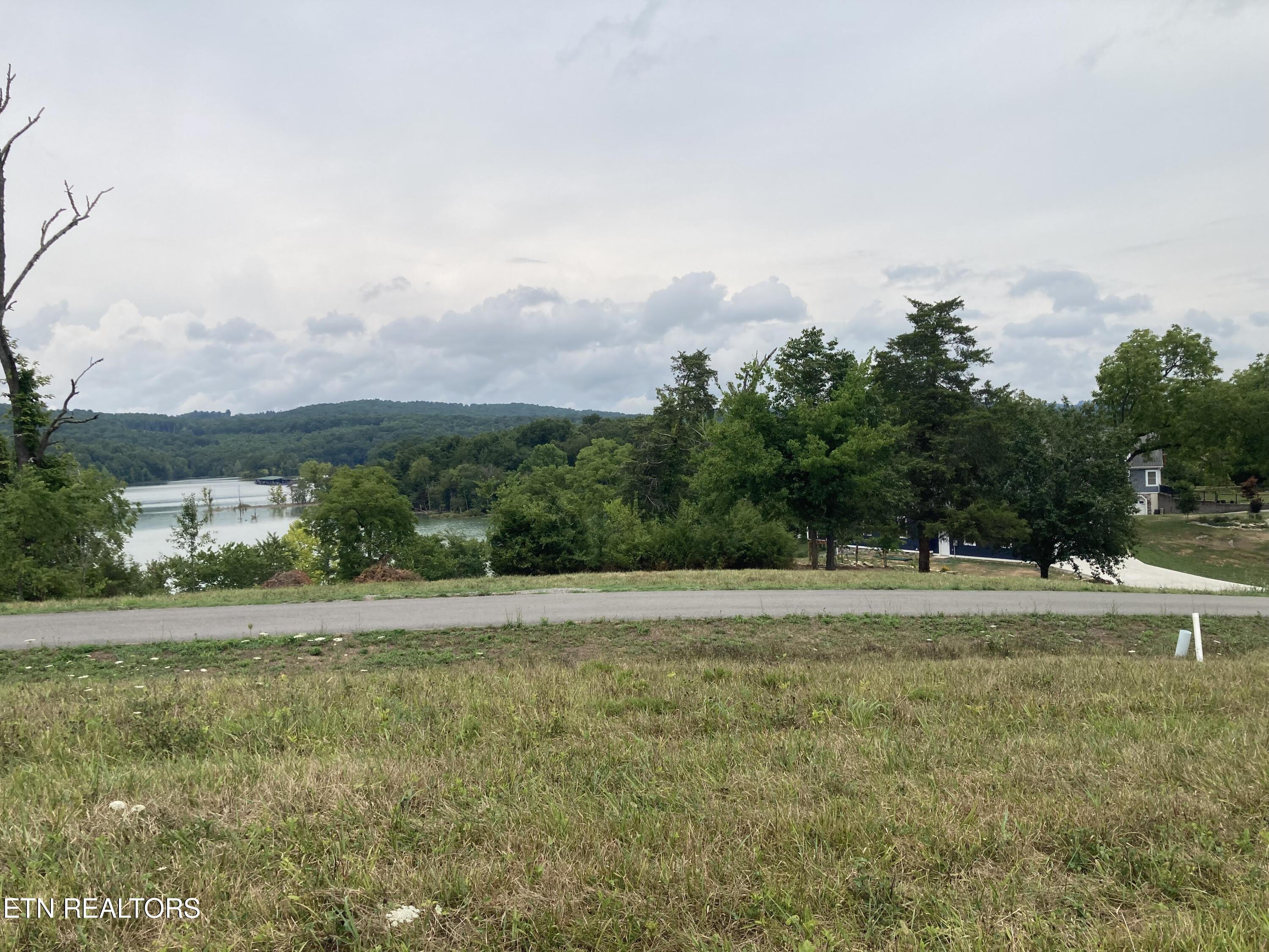 Norris Lake Real Estate - Image# 9