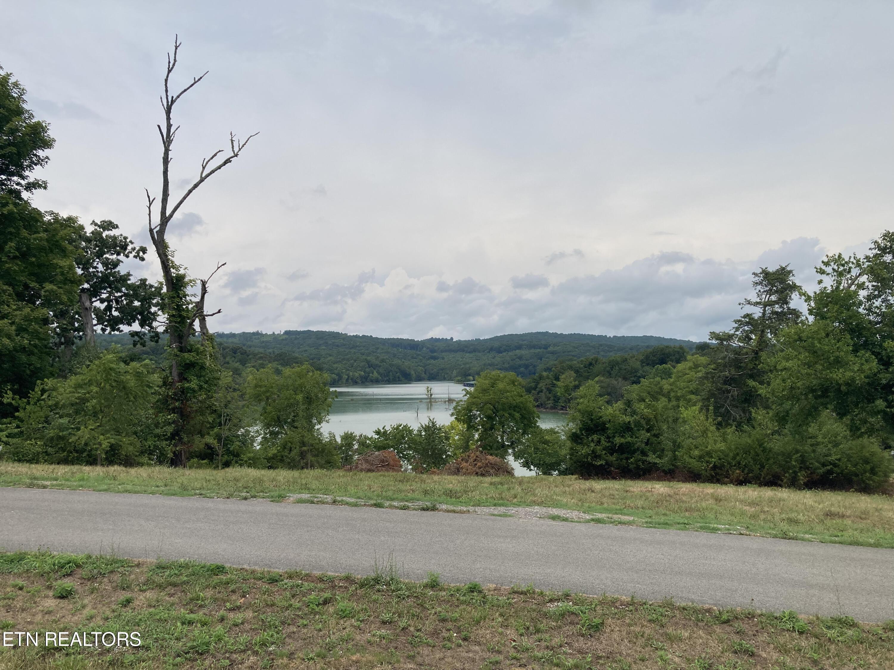 Norris Lake Real Estate - Image# 10