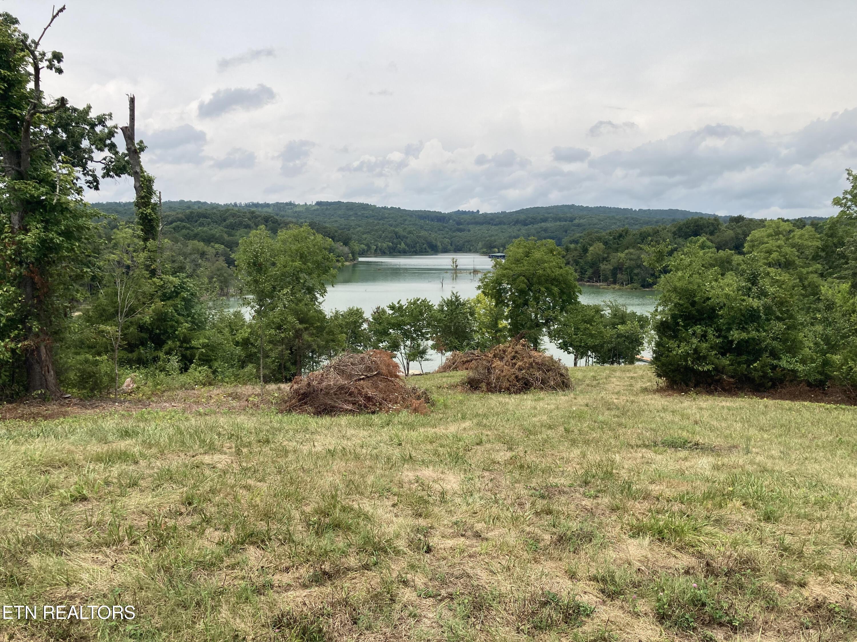 Norris Lake Real Estate - Image# 11