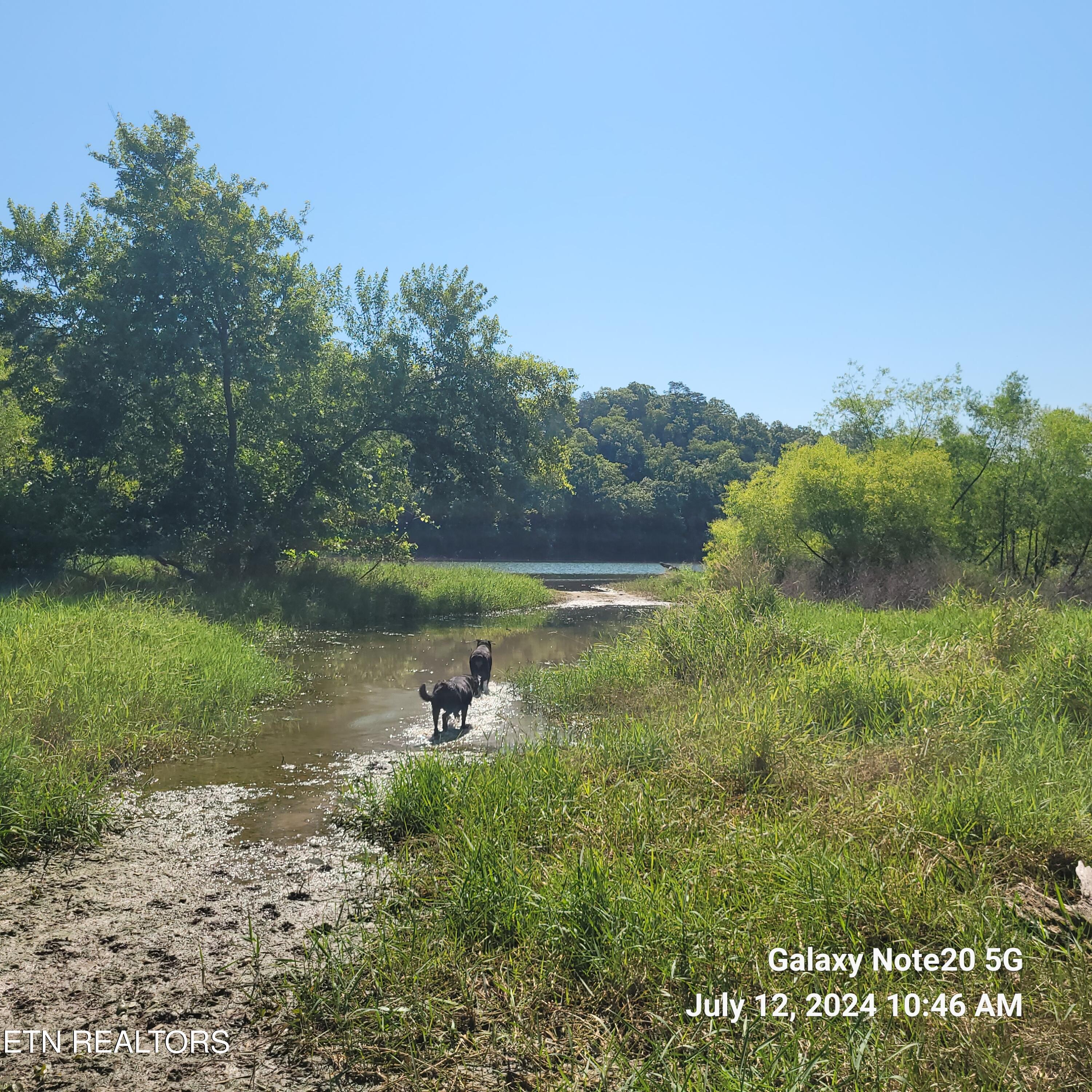 Norris Lake Real Estate - Image# 2