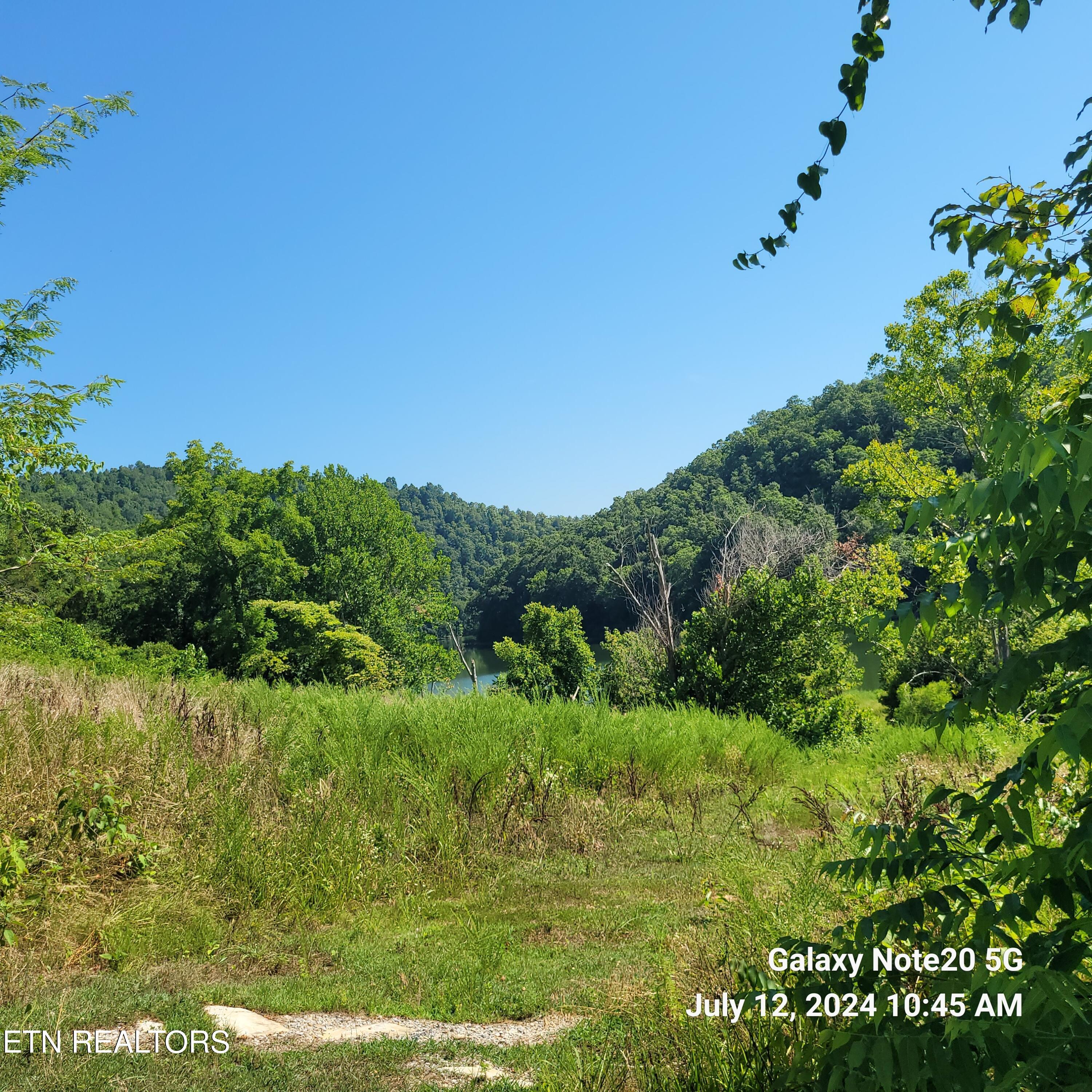 Norris Lake Real Estate - Image# 3