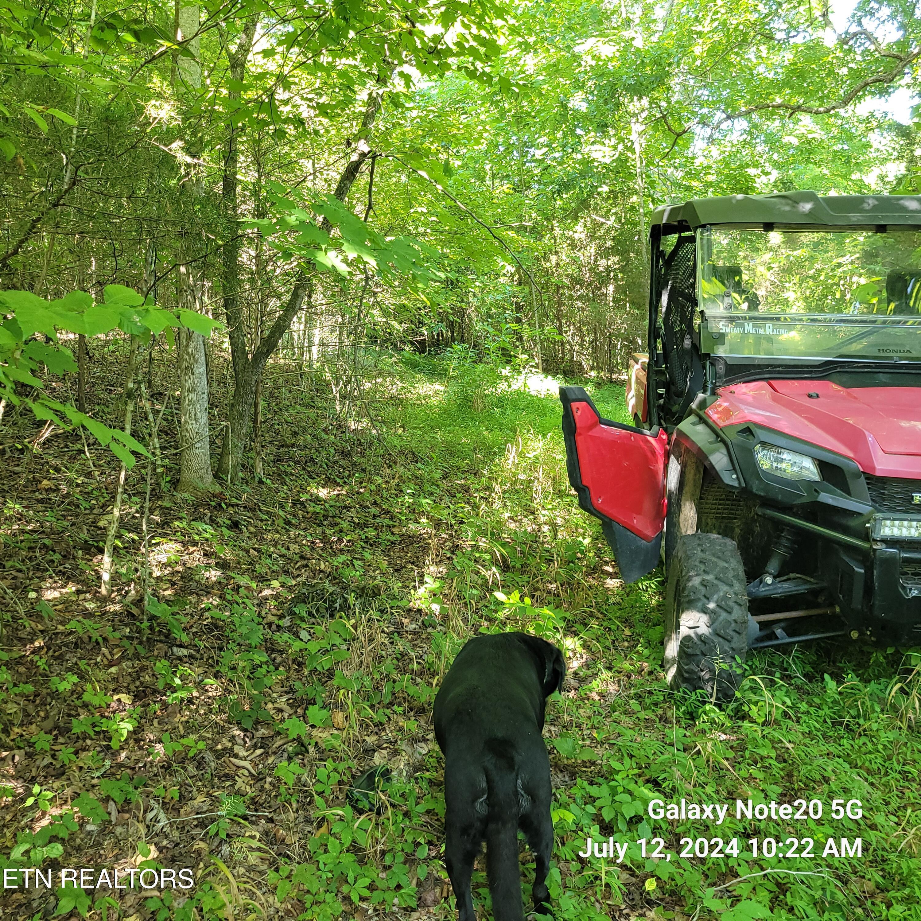 Norris Lake Real Estate - Image# 7